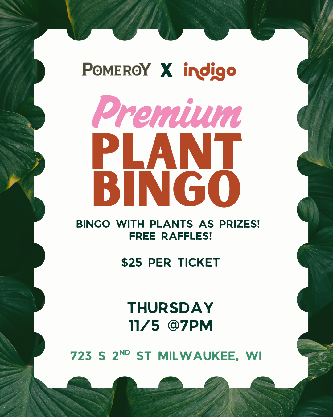 Premium Plant Bingo - 11/5 7pm