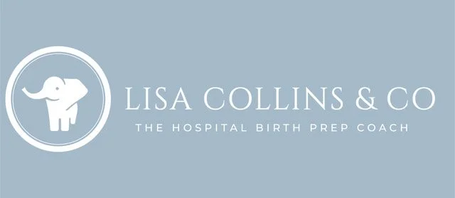 Lisa Collins Logo_Main_Horiz_White_Blue.jpeg