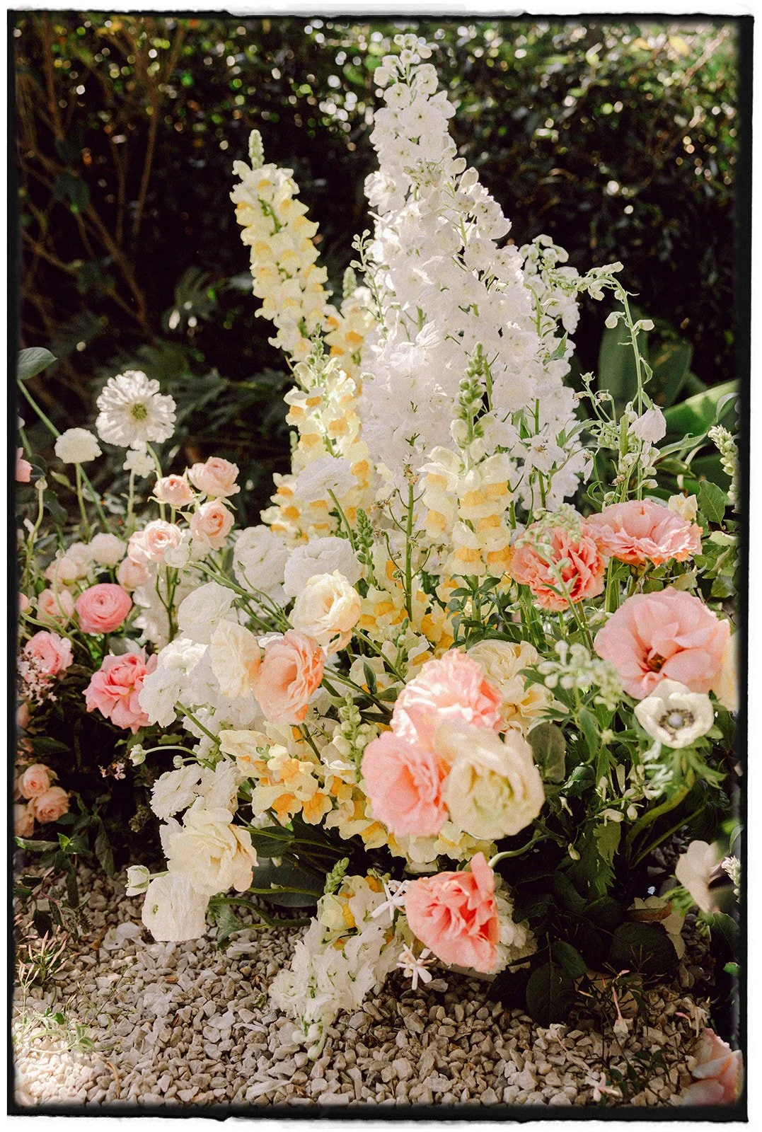 Film-1.jpg