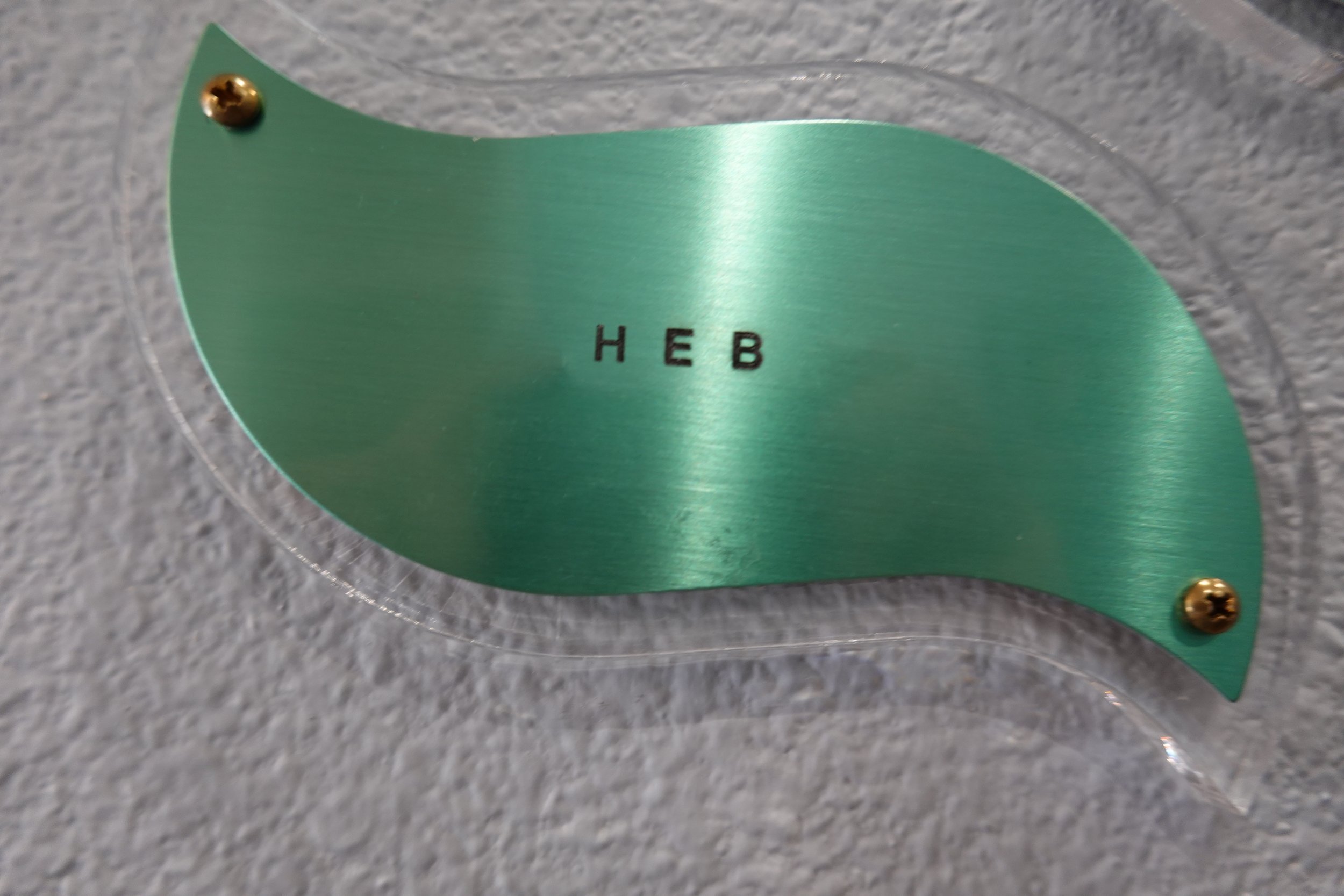 07-24-2024 HEB leaf.JPG