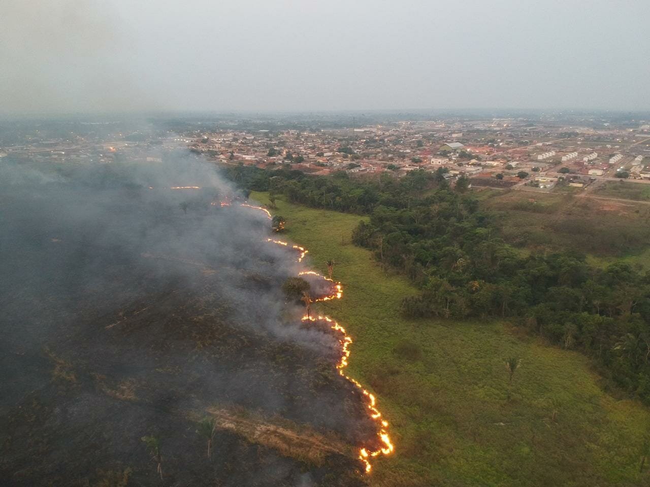 Dia da Terra: como se adaptar ao que já pode estar perdido?