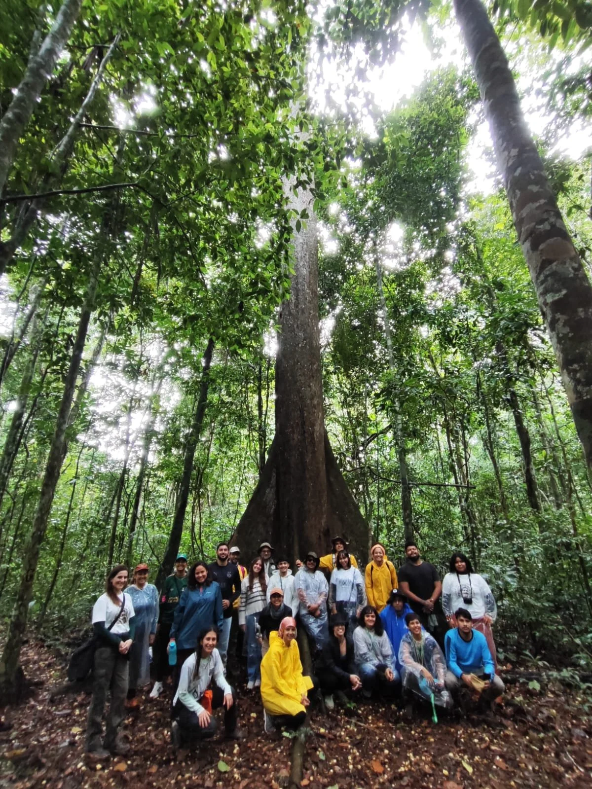 WhatsApp Image 2025-12-18 at 09.59.53.jpeg