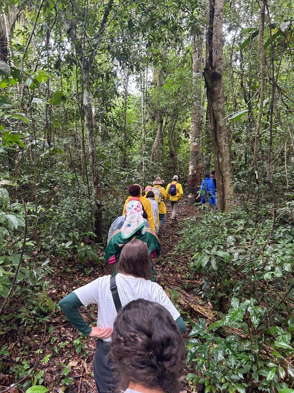 WhatsApp Image 2025-12-19 at 06.05.21.jpeg