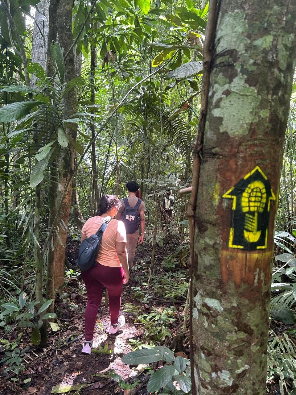 WhatsApp Image 2025-12-19 at 06.05.03.jpeg