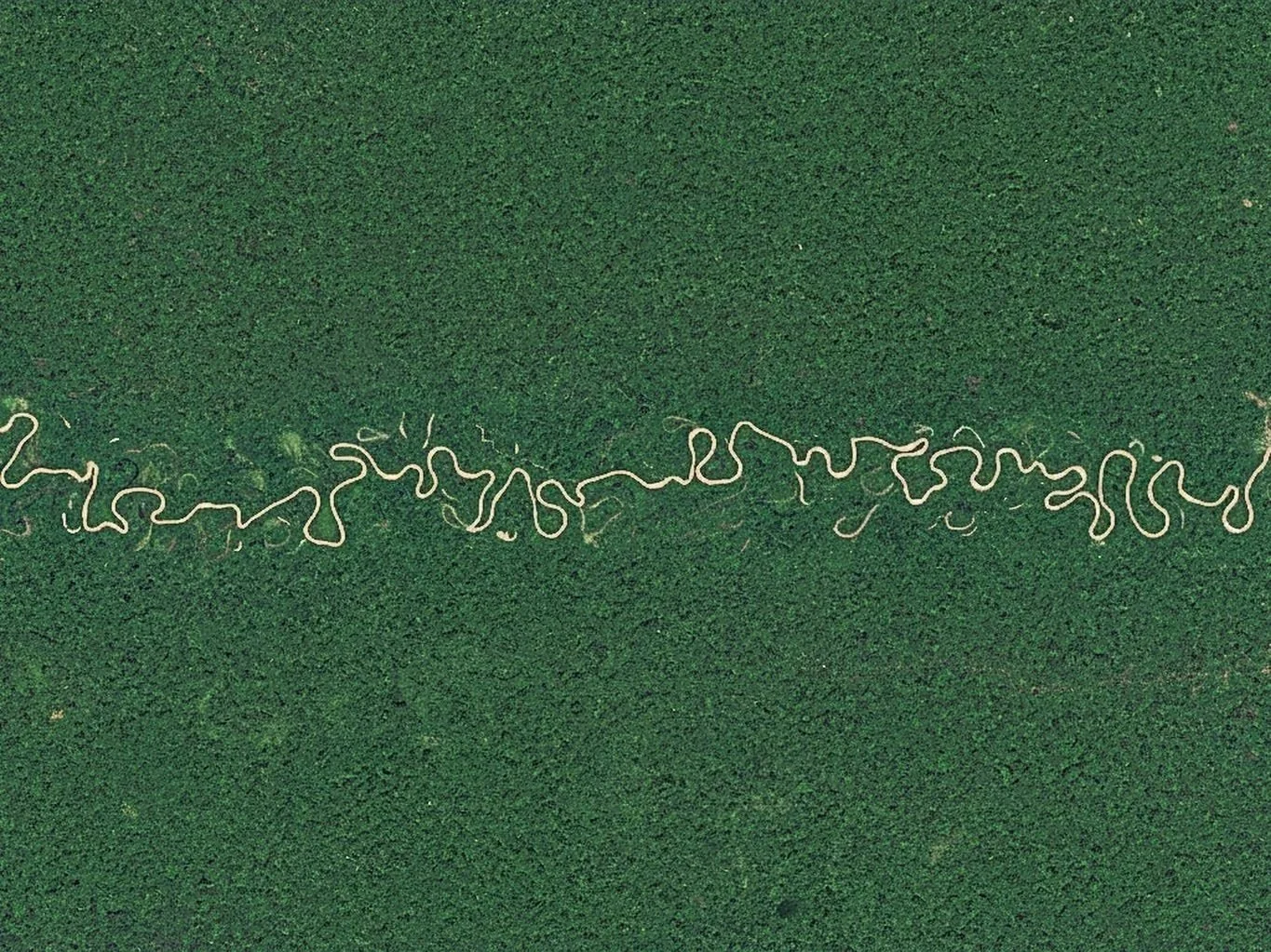 A Amazônia vista por cima jamais proporciona a experiência de viver dentro dela