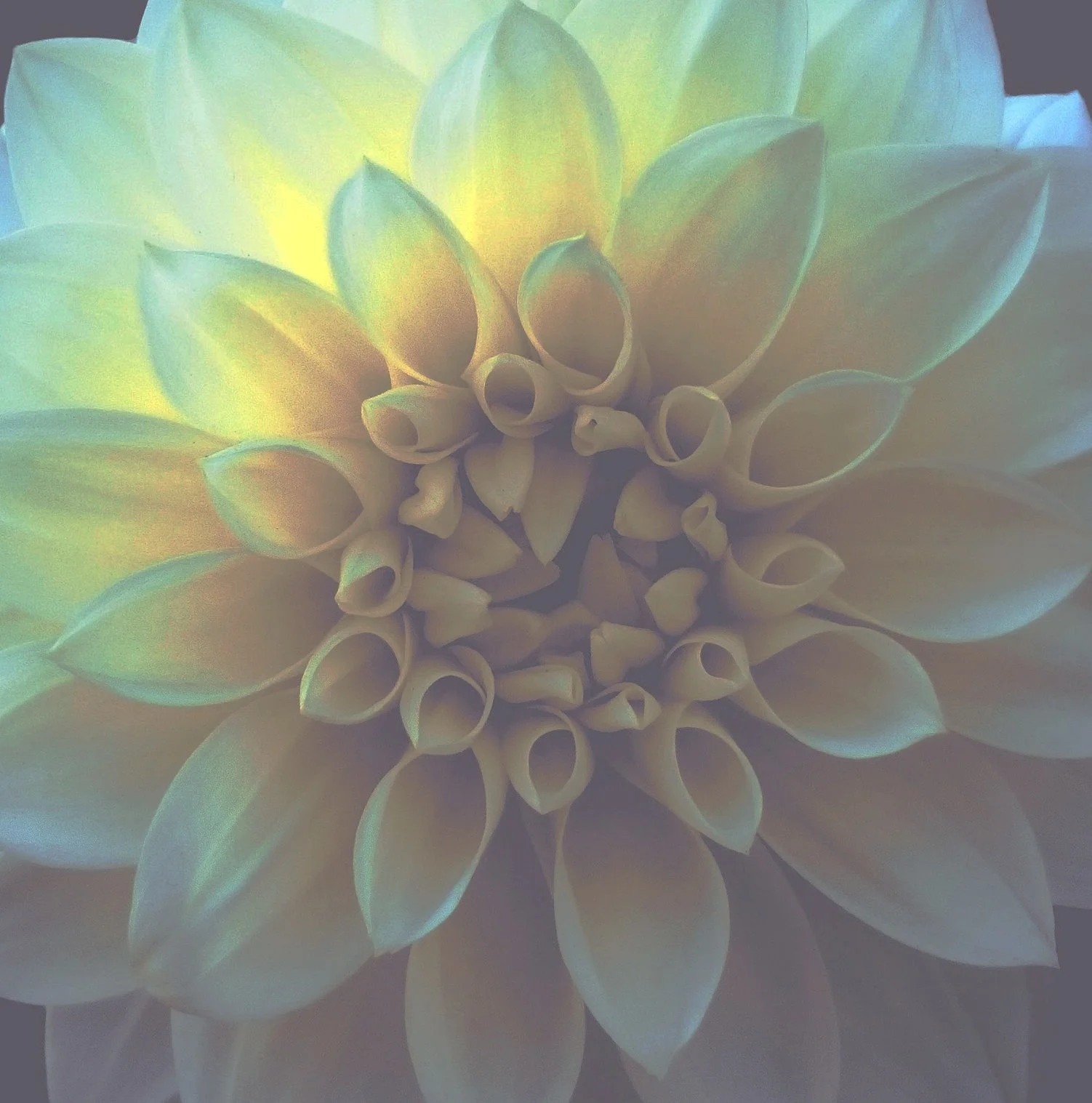 breathwork for inner healing across the US