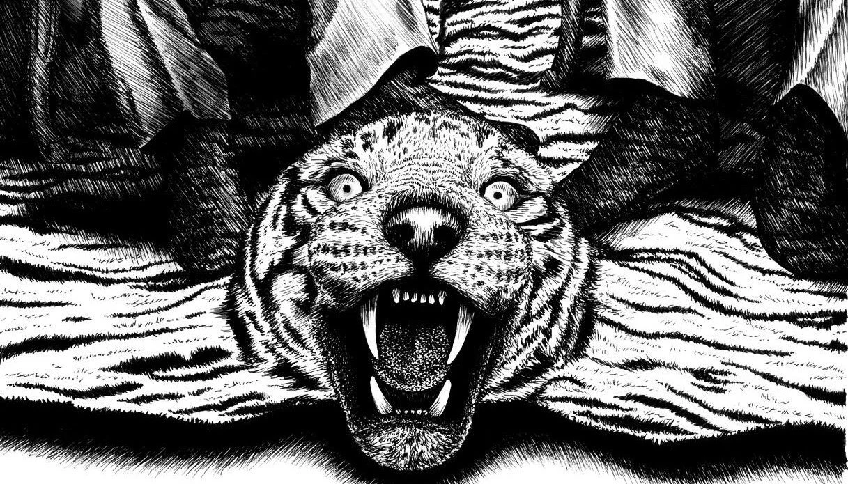 The ABC's of Xtinction