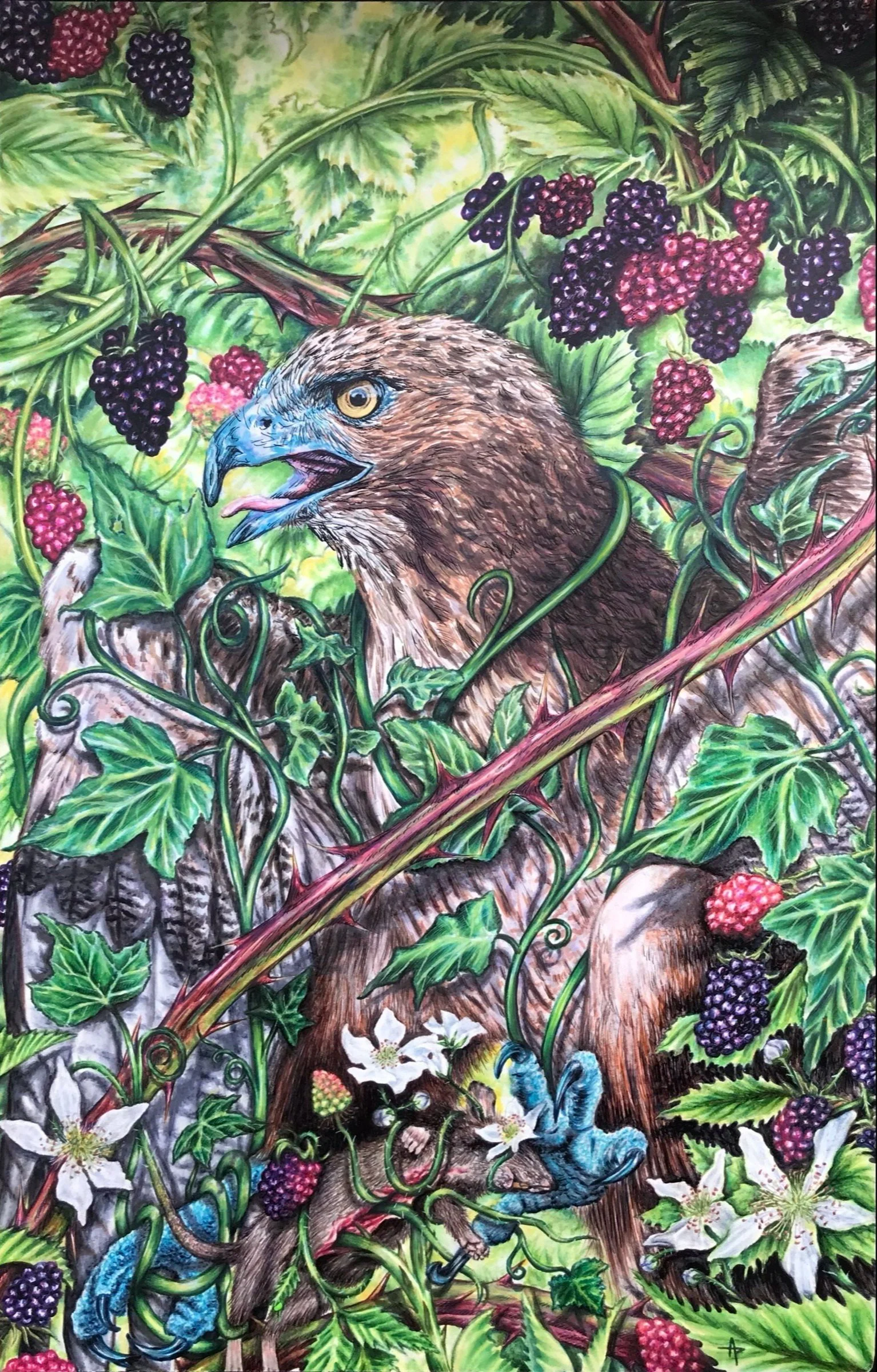 Untitled, 2022, acohol-based marker, acrylic, 11 inches by 14 inches.