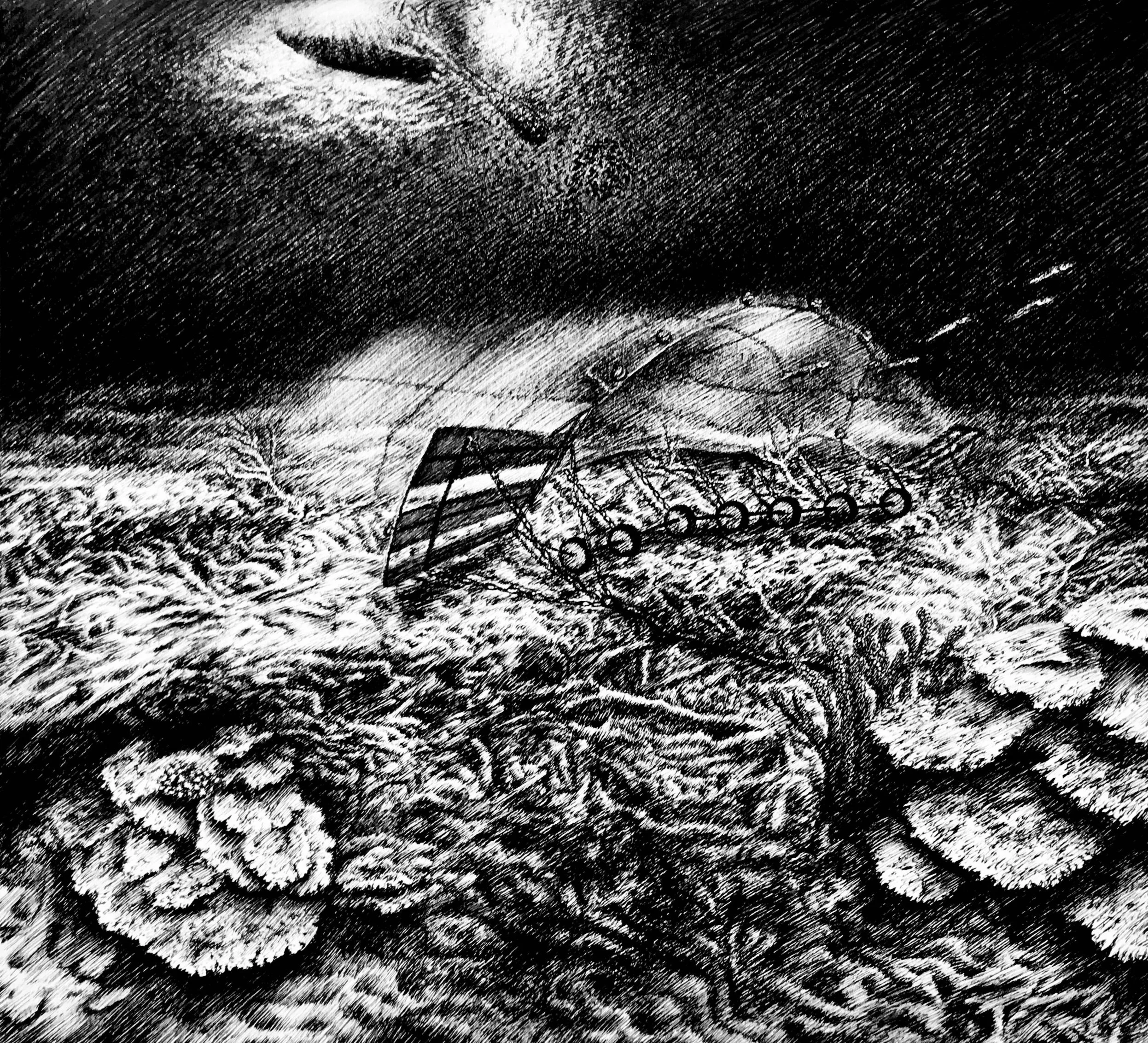 C is for Coral, 2015, pen and ink, 9.5 inches by 11 inches.