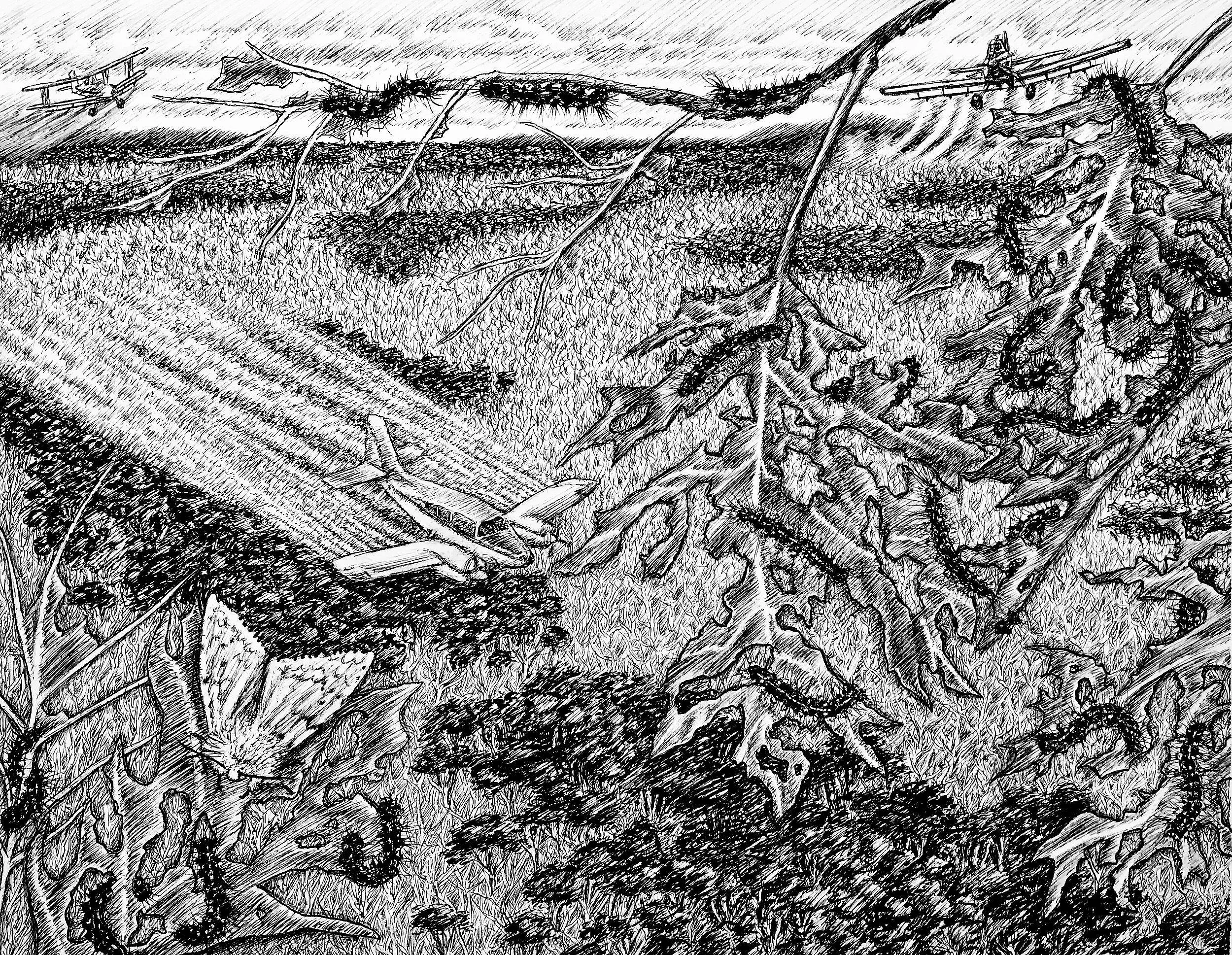 I is for Invasives, 2022, pen and ink, 9.5 inches by 11 inches.
