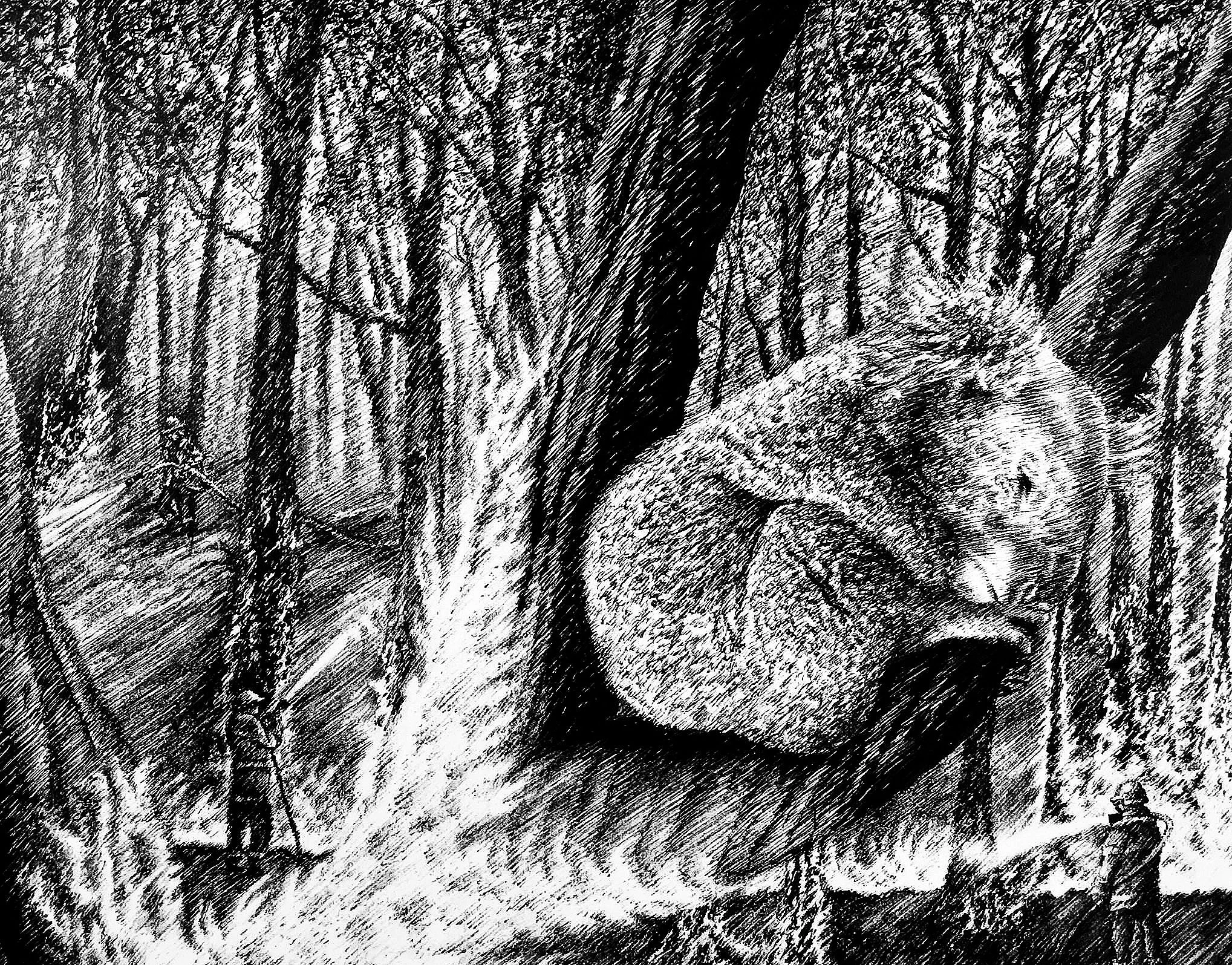 K is for Koala, 2020, pen and ink, 9.5 inches by 11 inches.