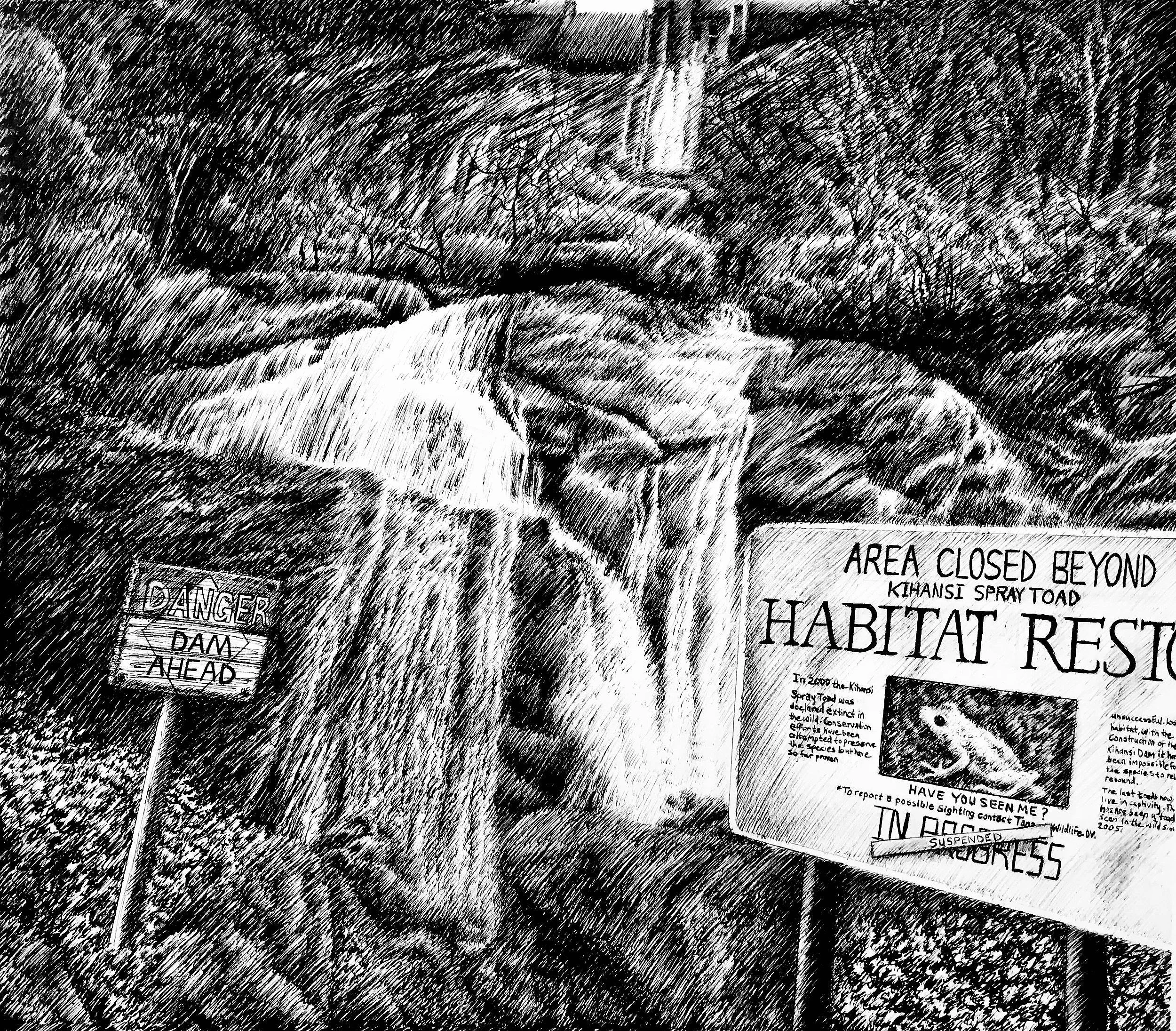 A is for Amphibians, 2015, pen and ink, 9.5 inches by 11 inches.