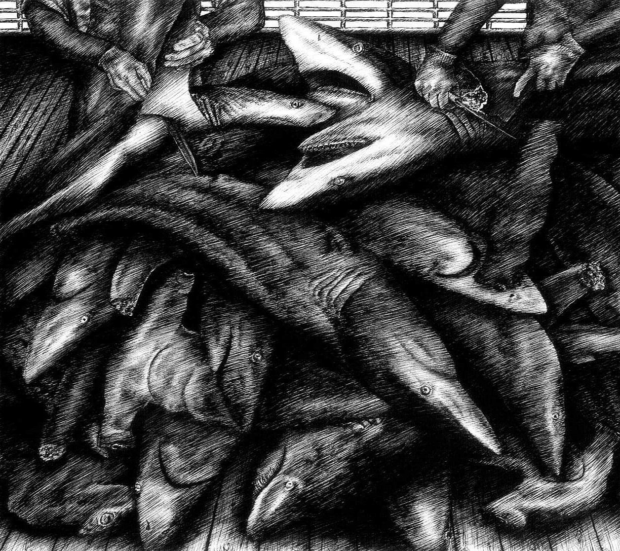 S is for Shark, 2014, pen and ink, 9.5 inches by 11 inches.