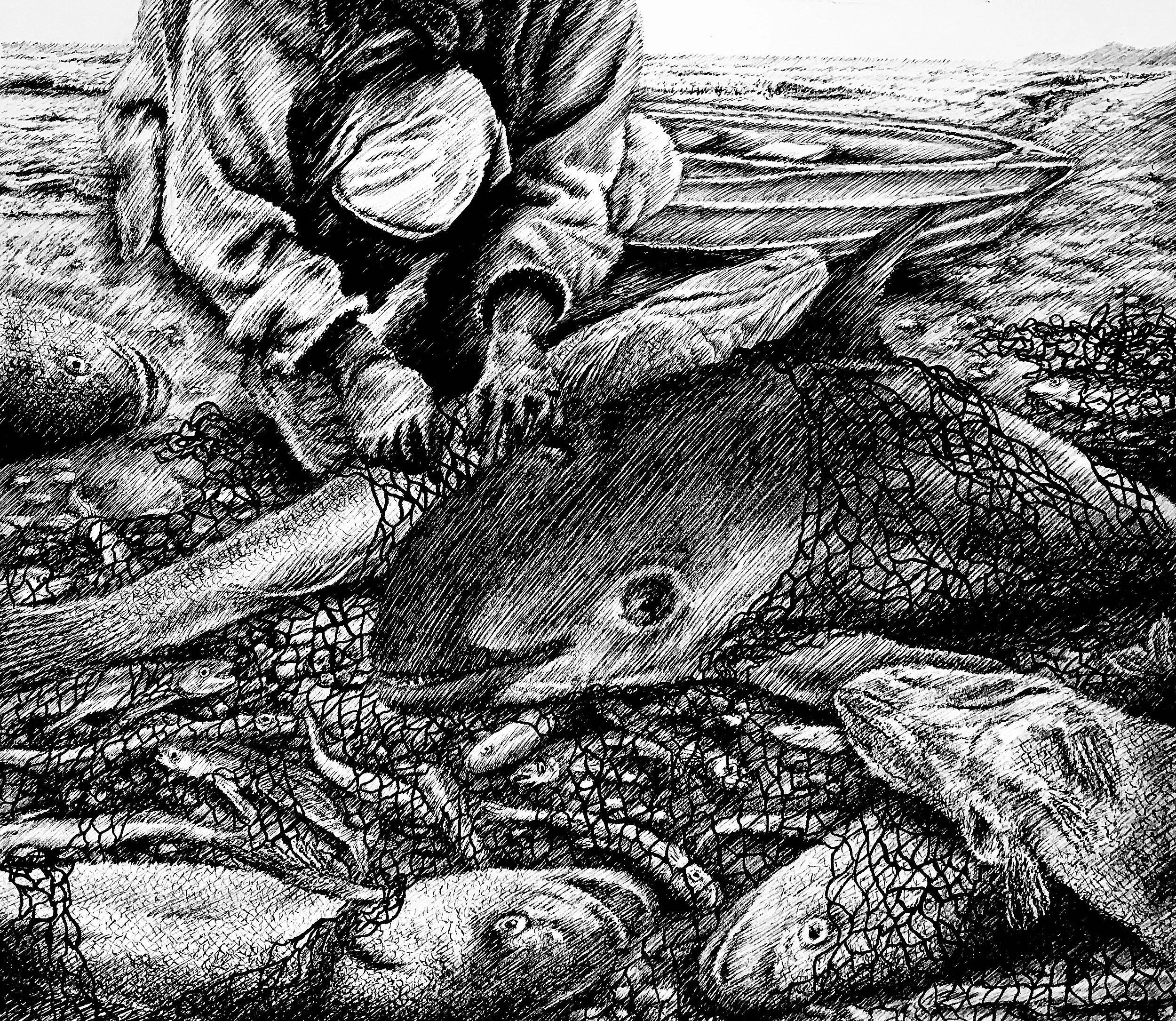 V is for Vaquita, 2020, pen and ink, 9.5 inches by 11 inches.