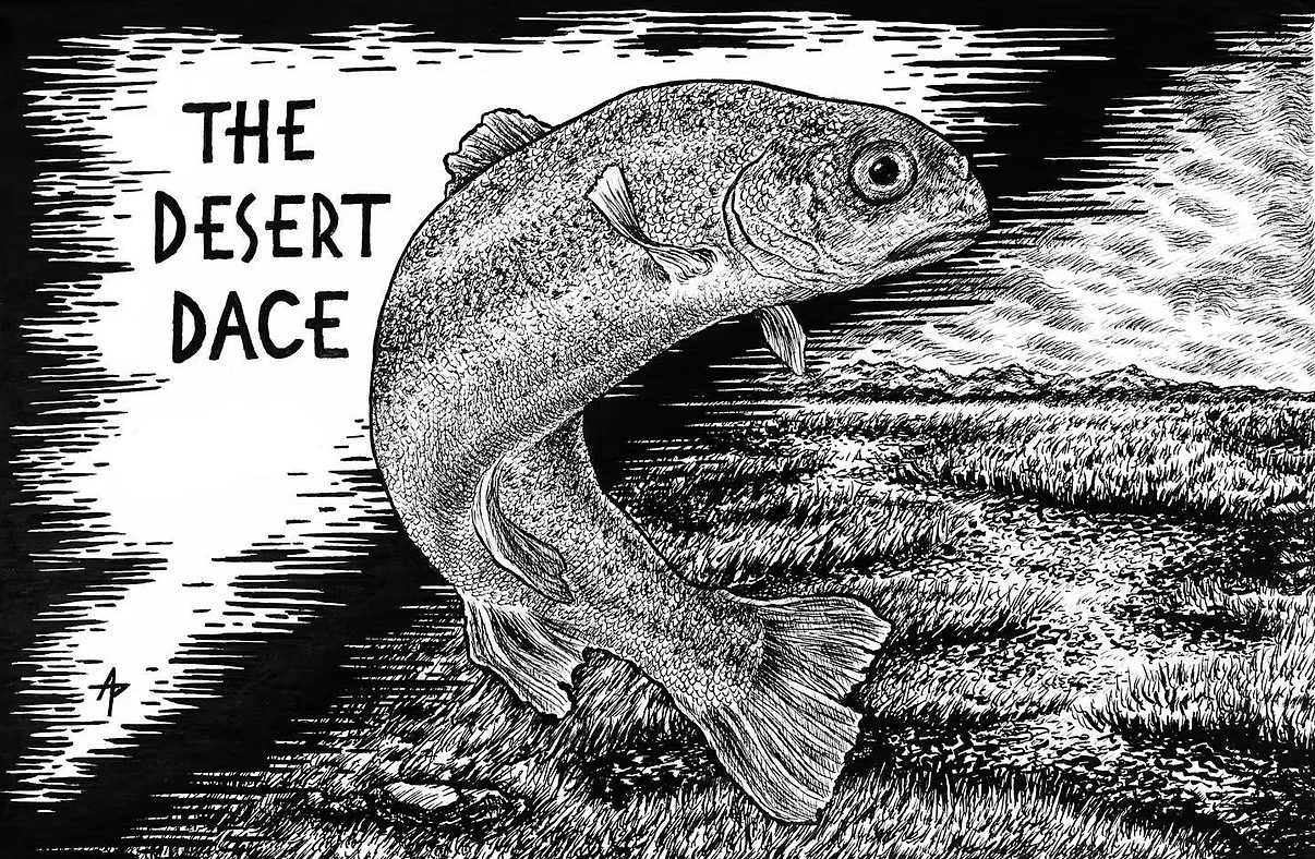 The Desert Dace, 2023, pen and ink, 4 inches by 6 inches.