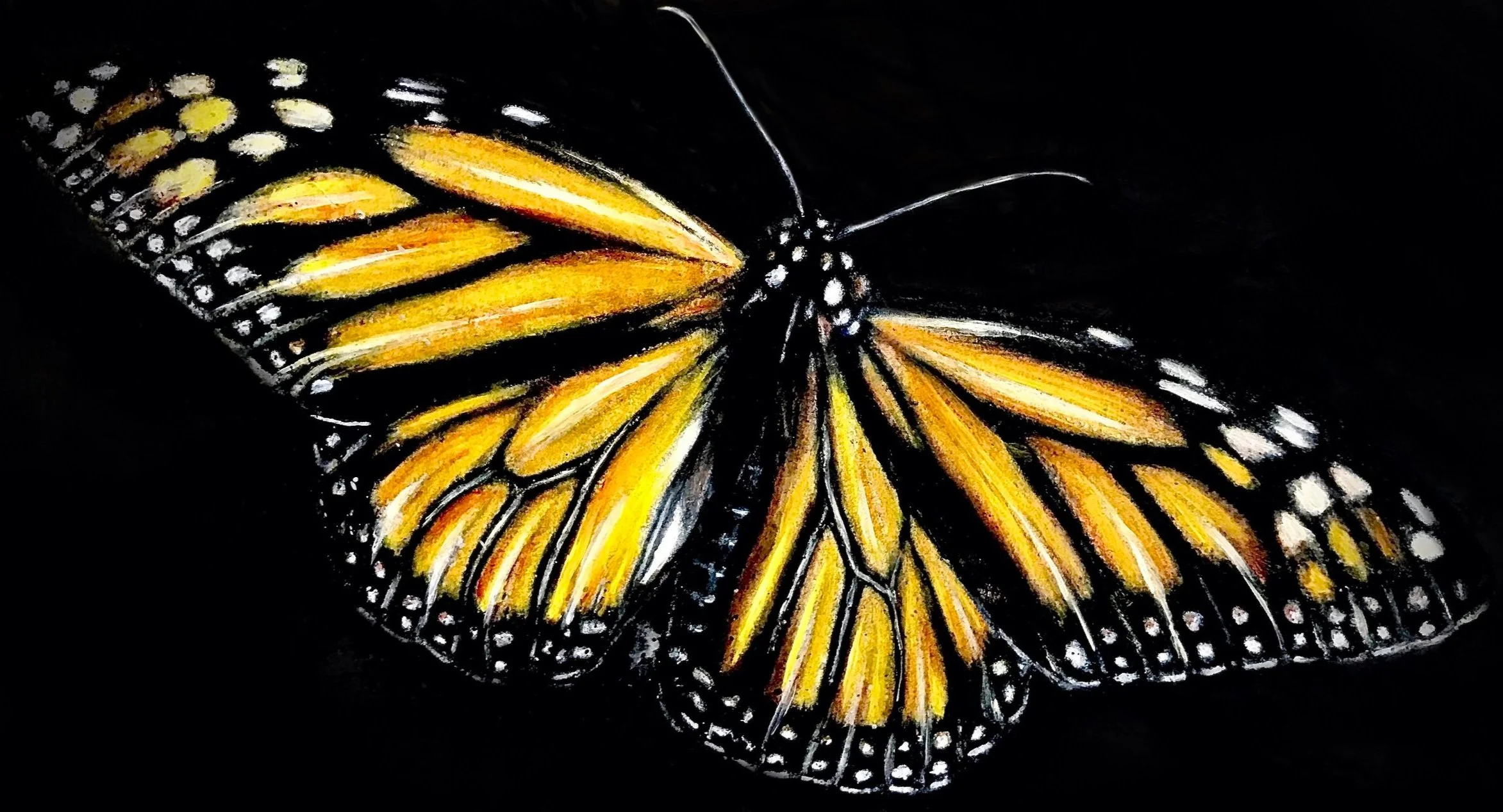 monarch butterfly at the top of homepage