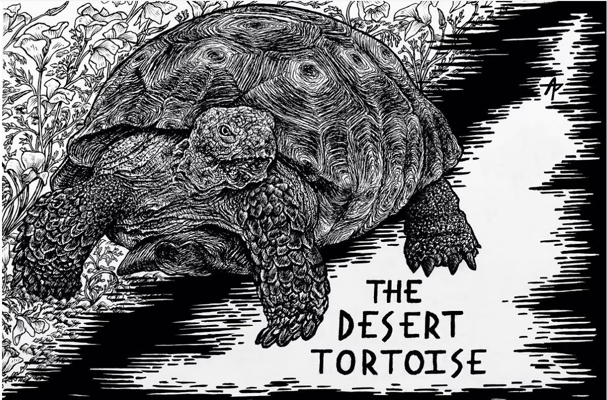 Nevada Endangered Species
