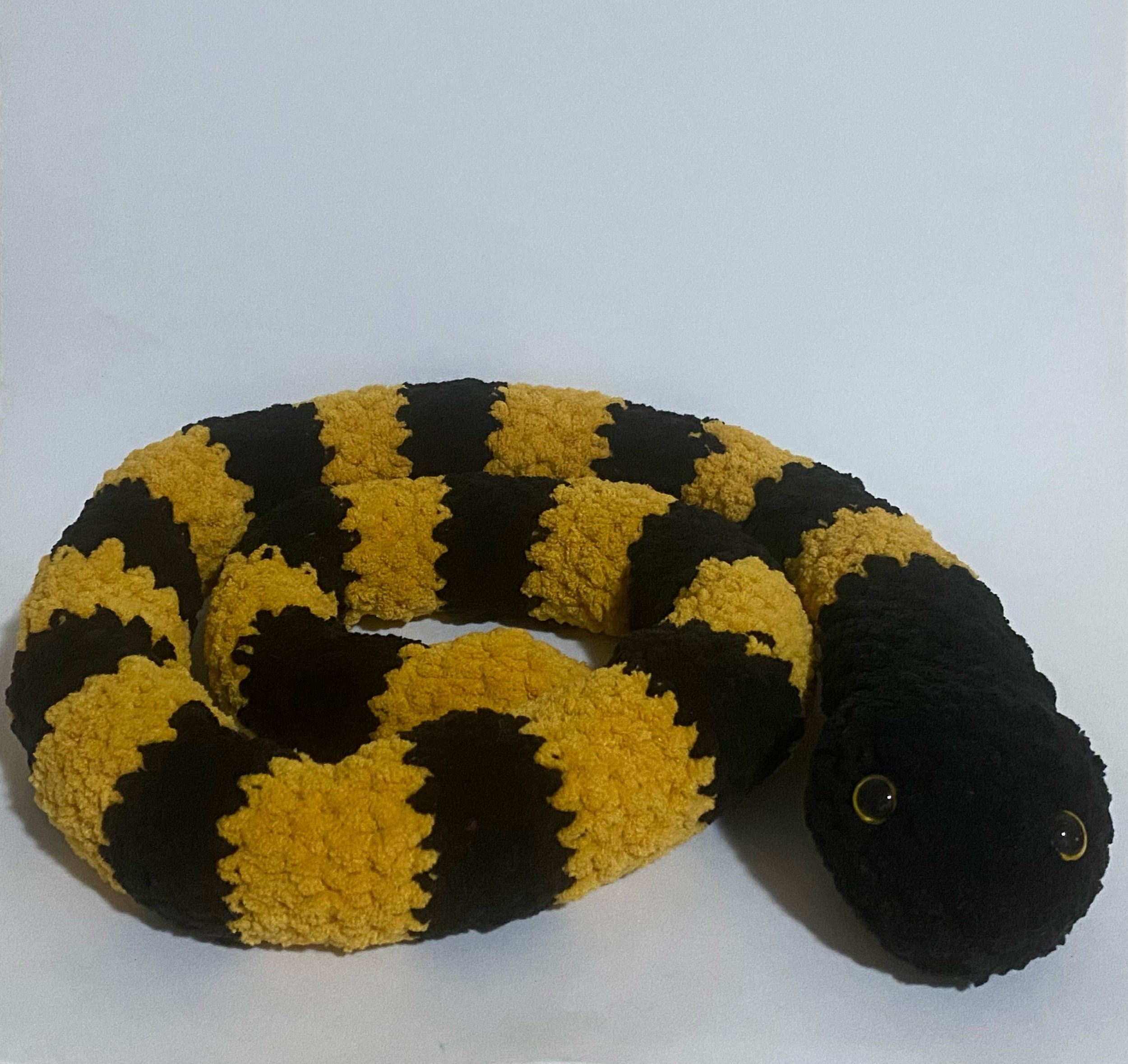 Black and Yellow Snake