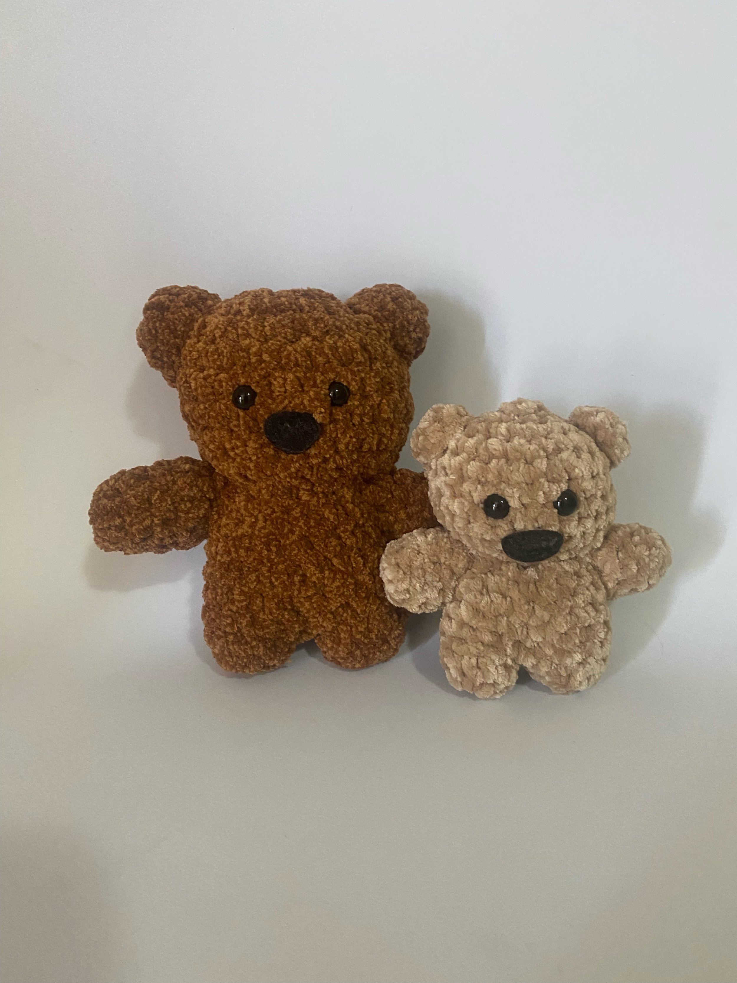 Two Brown Bears