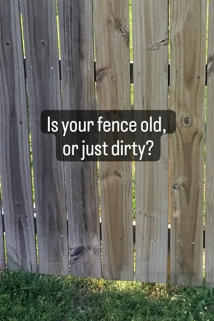 Pressure Washing: Fence Washing