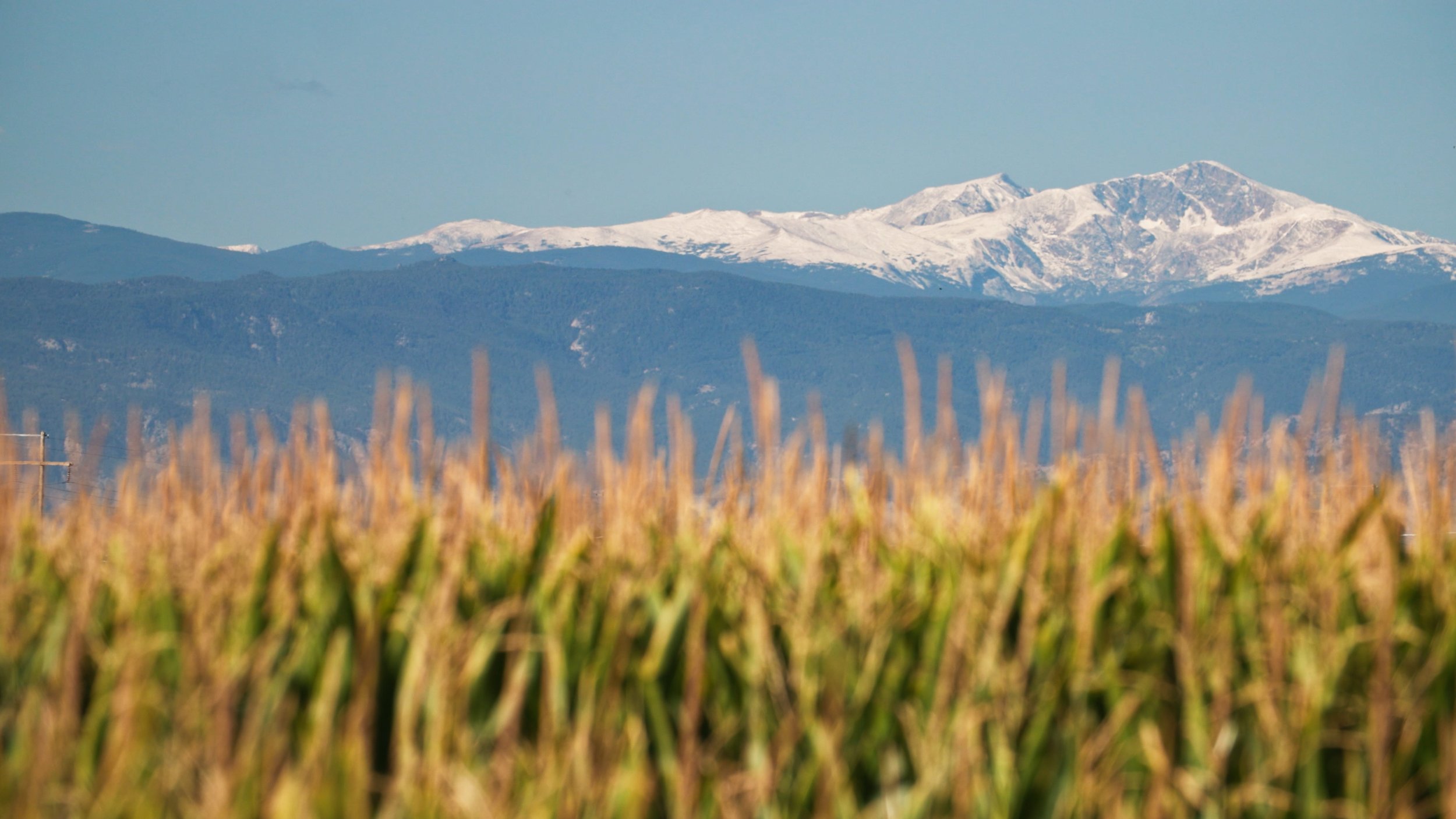 Rocky Mountain Farmers Union