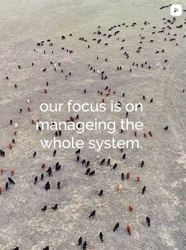 HMI whole system management