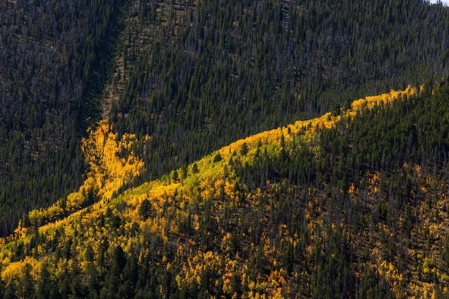 Autumn in the Rockies 🍁
-
Visit our website at www.ldproductions.co to explore our video and photo portfolio, latest films, blogs, and happenings at LD Productions.
-
#FallColors #ColoradoMountains #AutumnVibes #GoldenAspens #MountainViews #FallInCo
