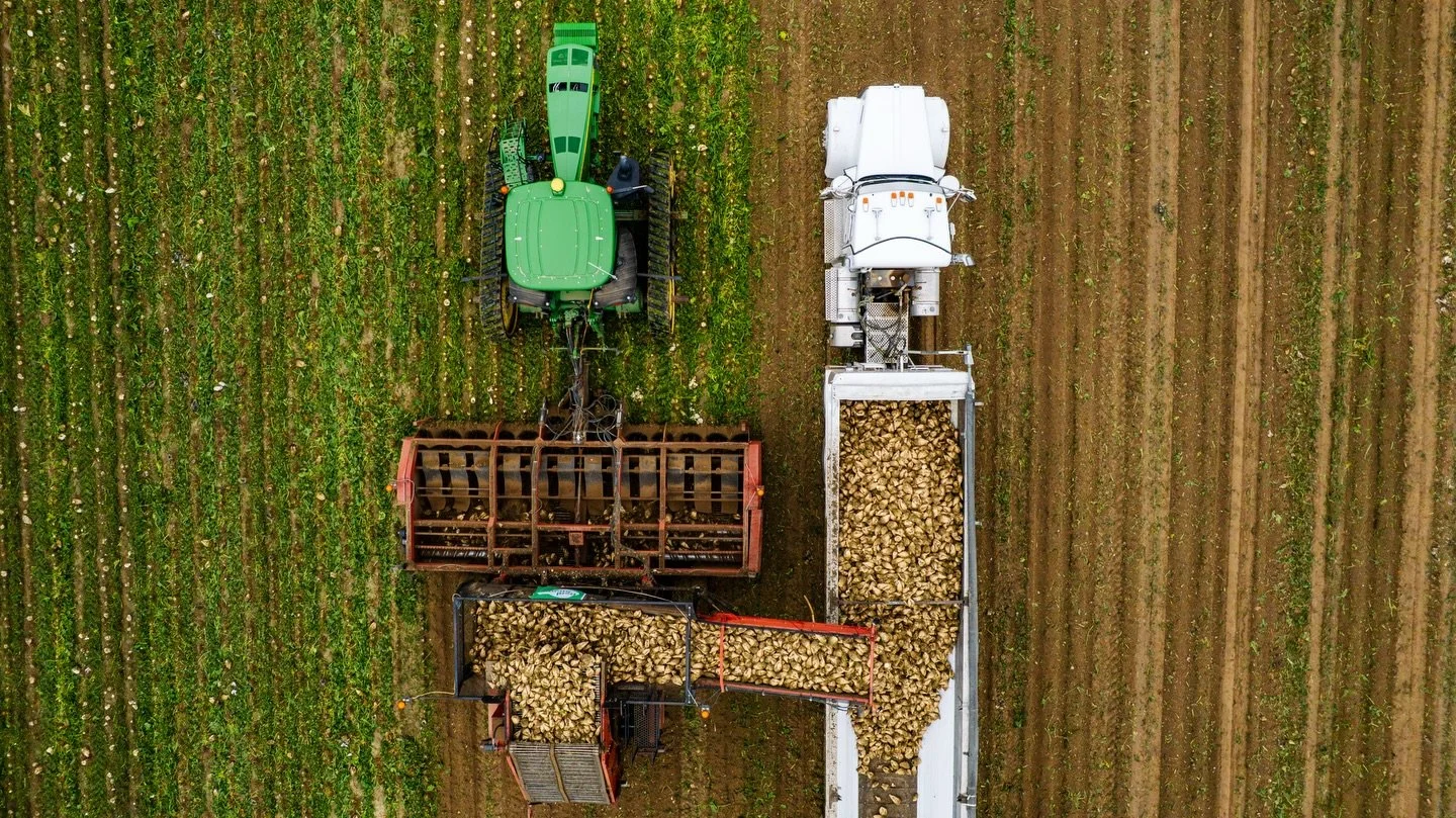Have you seen our video on improving environmental and economic outcomes for sugar beet farmers? 🚜🌱

Across the Western U.S., @western_sugar is proving that less is more when it comes to nitrogen management and sugar beet quality. Historically, fer