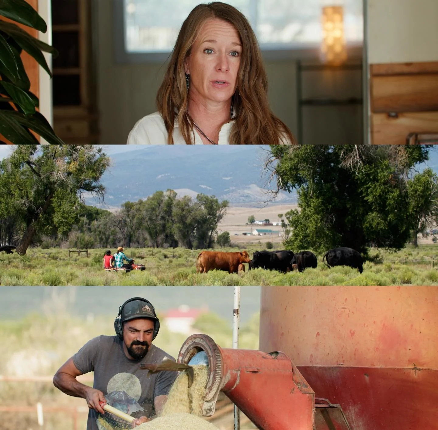 Did you catch the release of our latest video? 

We partnered with Rocky Mountain Farmers Union to create a video driving awareness and memberships for this incredible organization.

@rmfunion is a vital grassroots organization supporting family farm