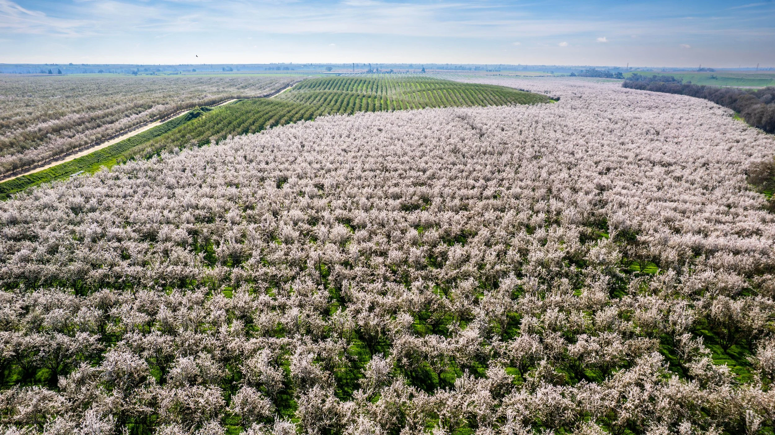 Western SARE | Burroughs Family Farms