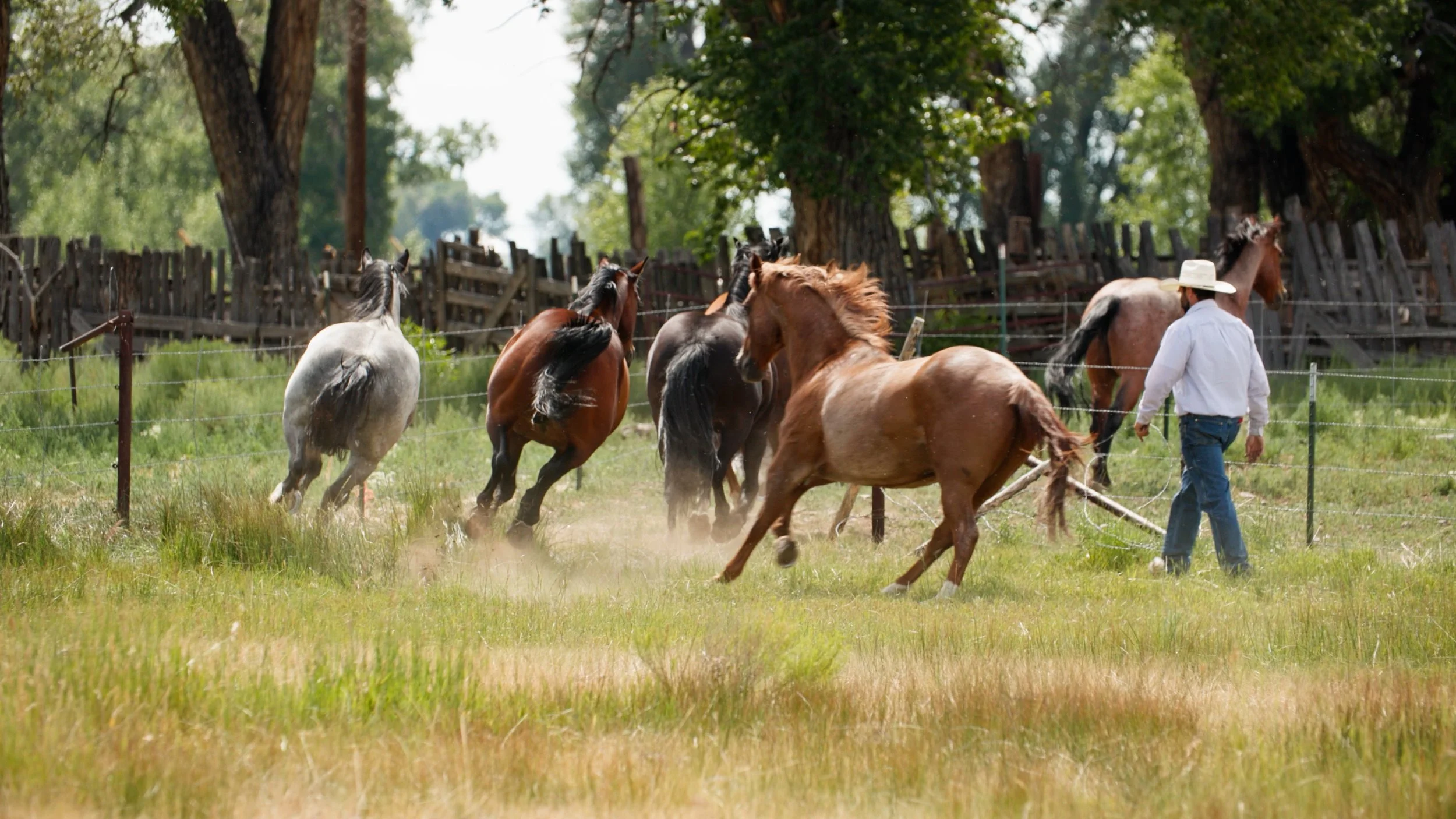 Rocky Mountain Farmers Union