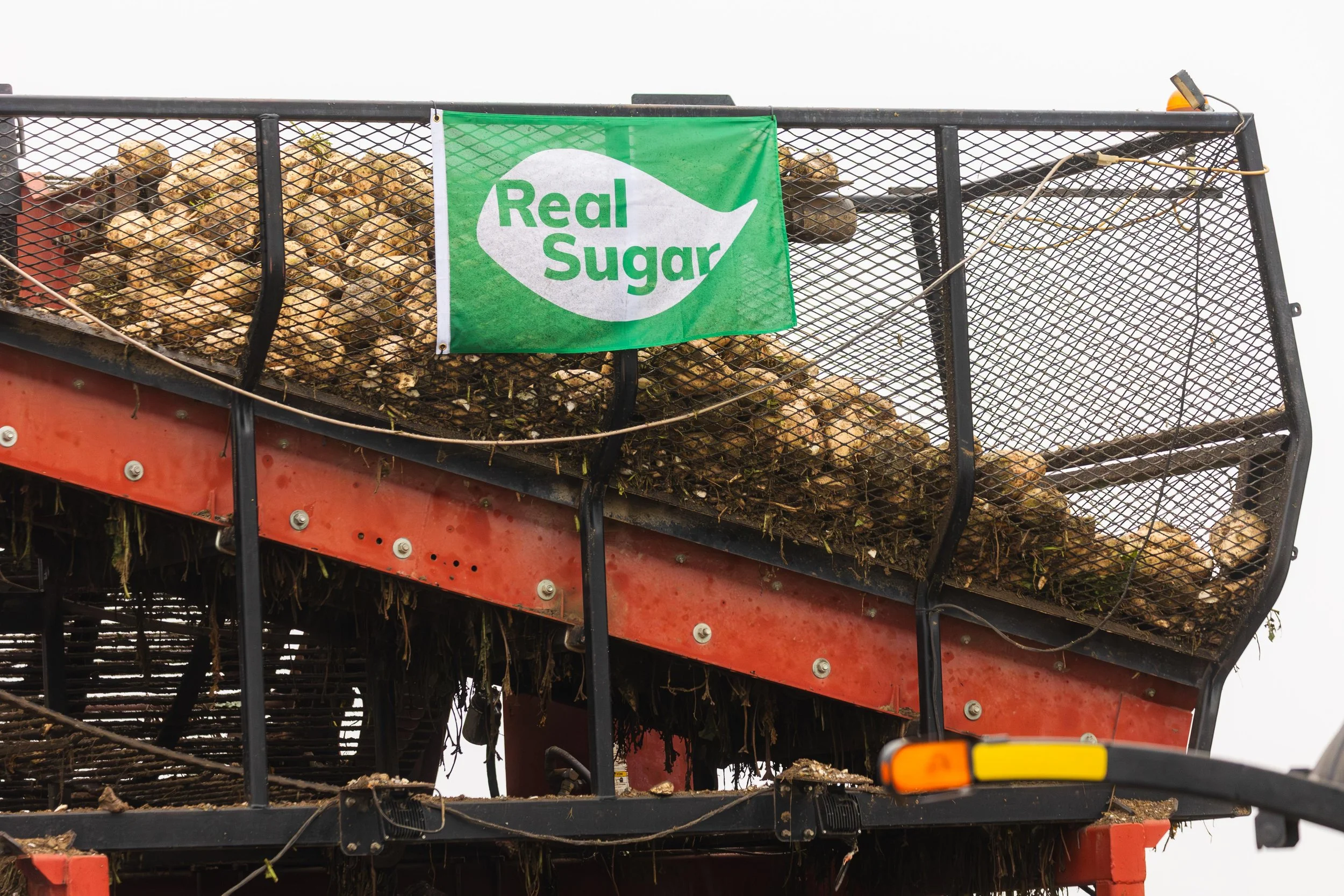 Western SARE Grants Colorado