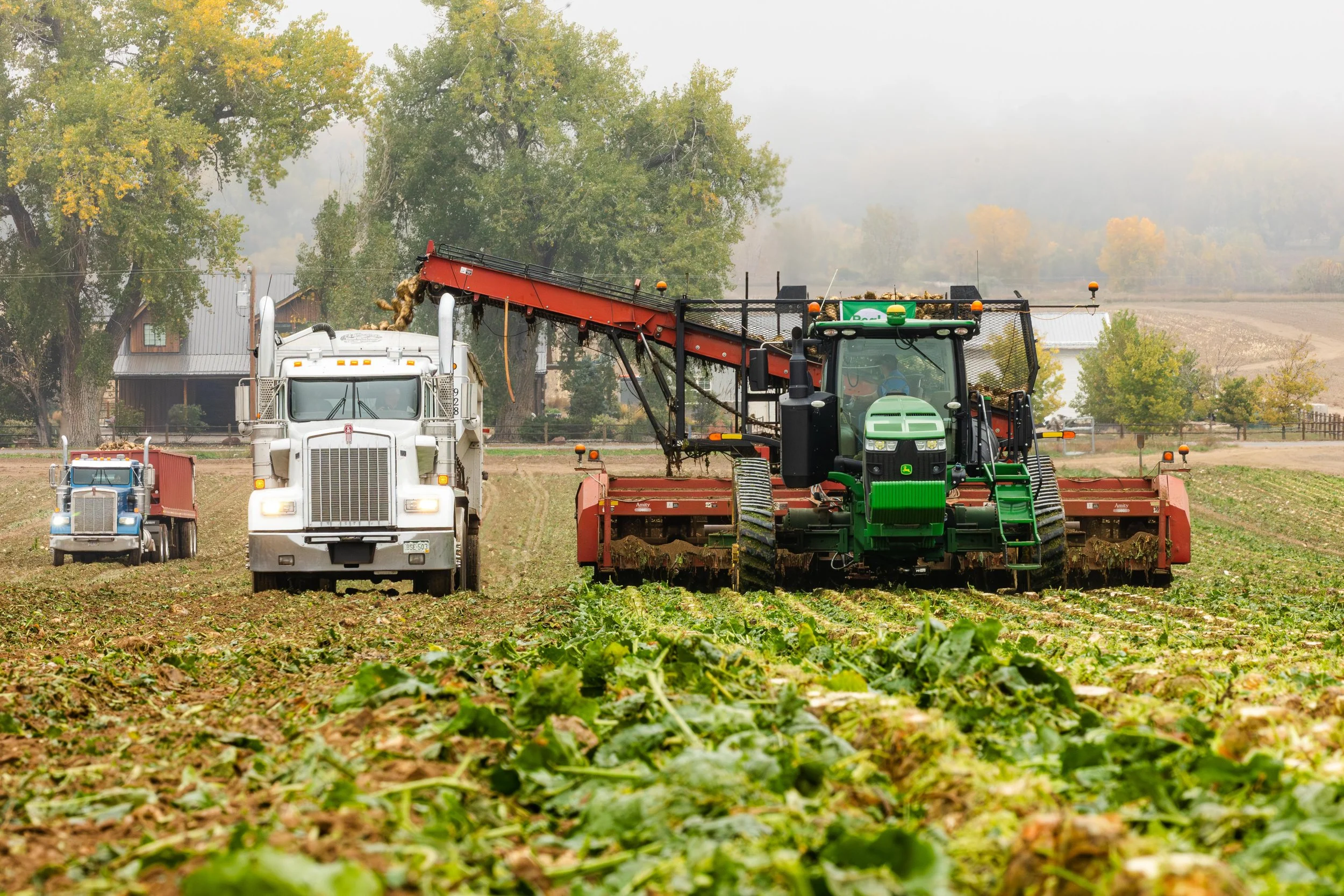 Western Sugar Cooperative