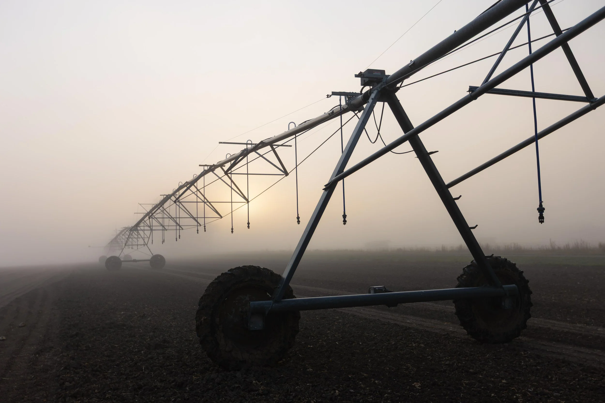 Western SARE Grants Colorado