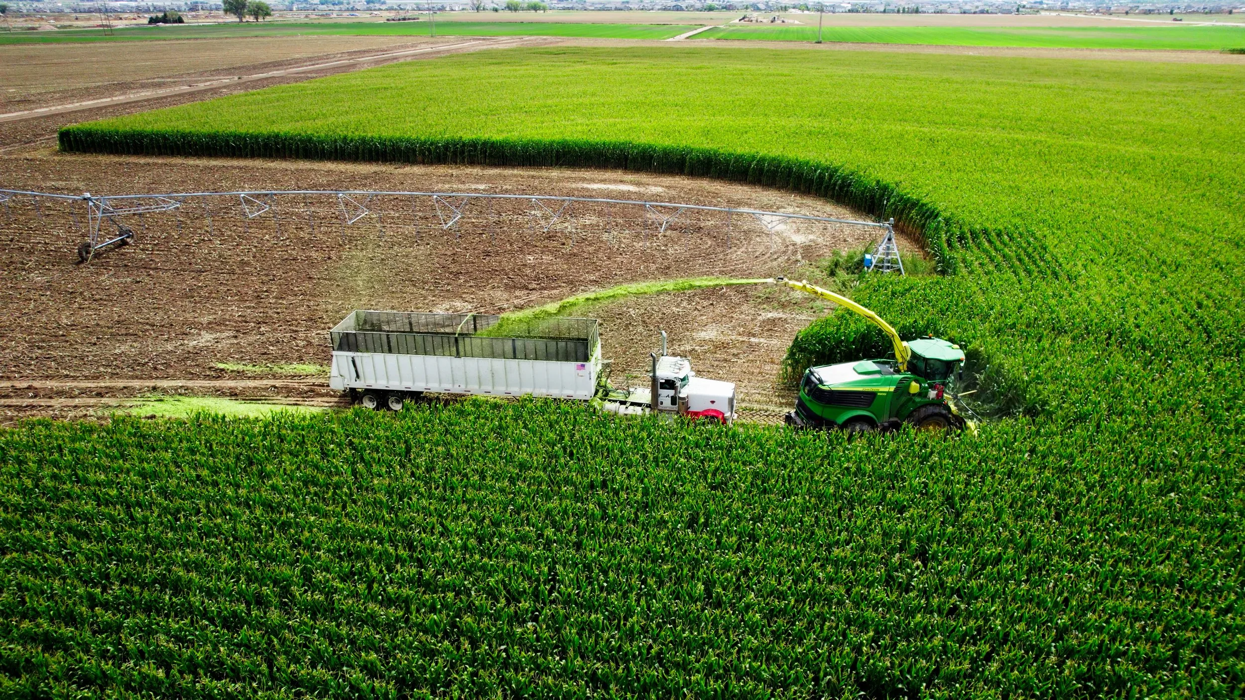 Rocky Mountain Farmers Union