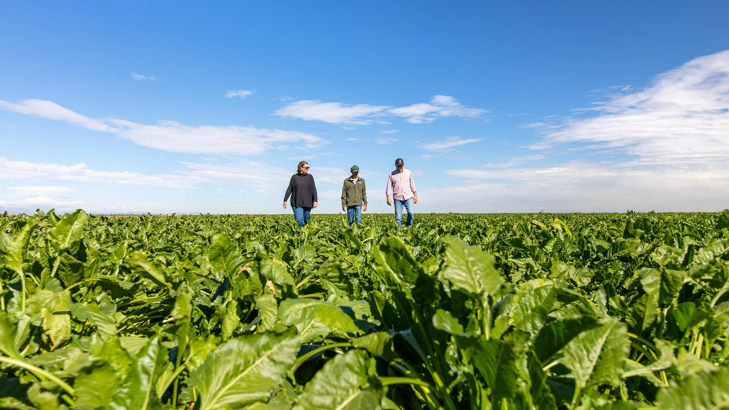 LD Productions LinkedIn