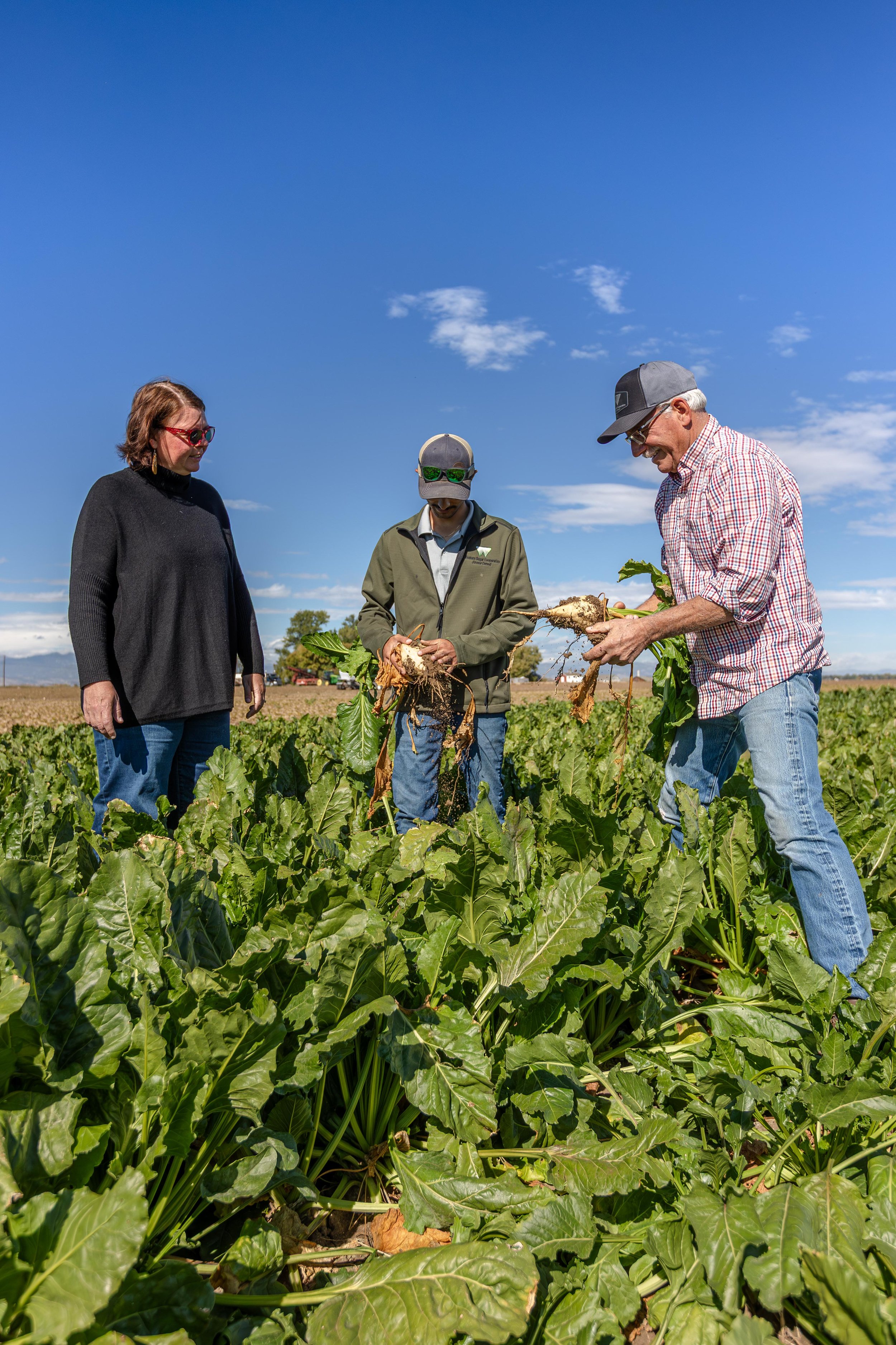 Western Sugar Cooperative