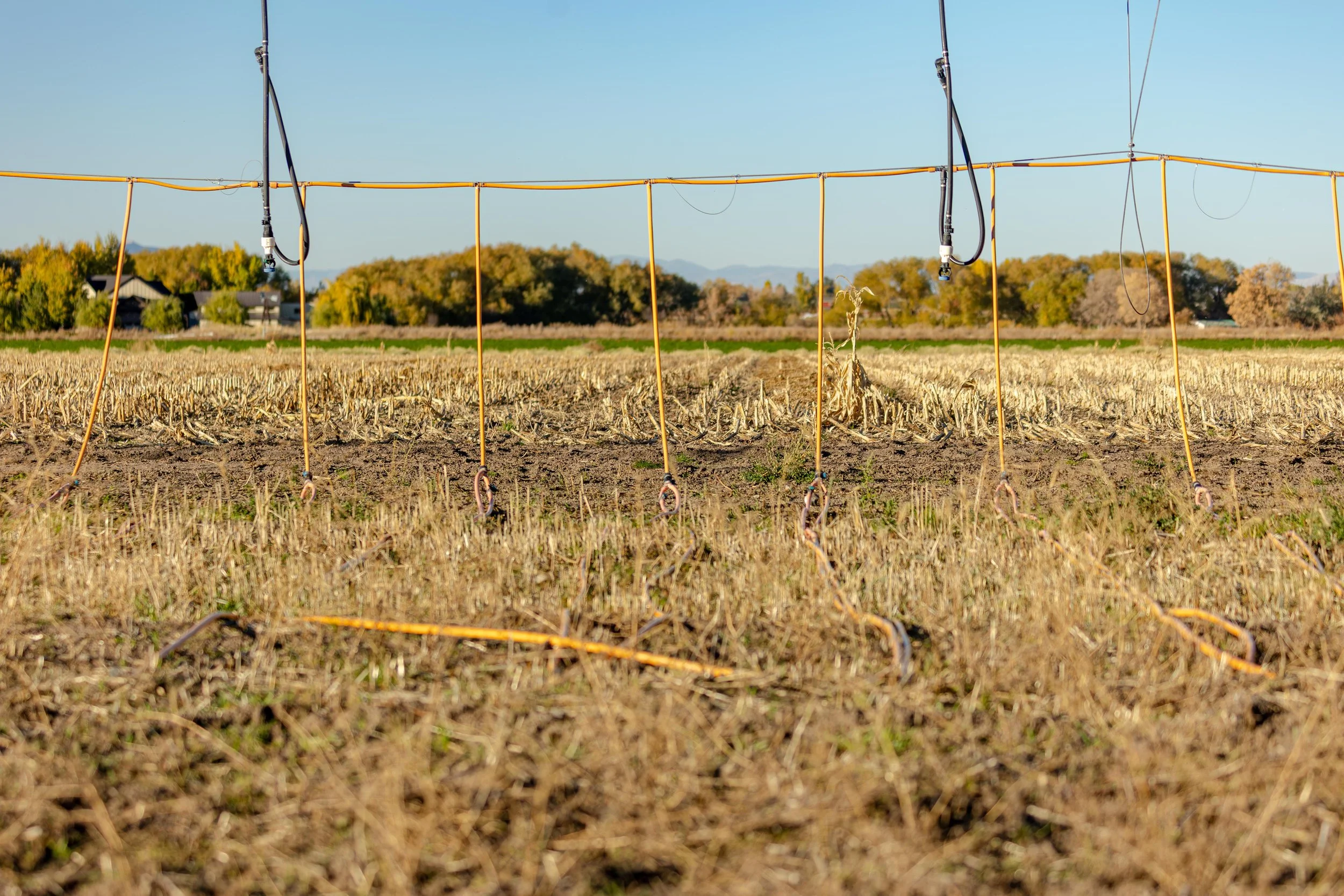 Western SARE Water Conservation Grant