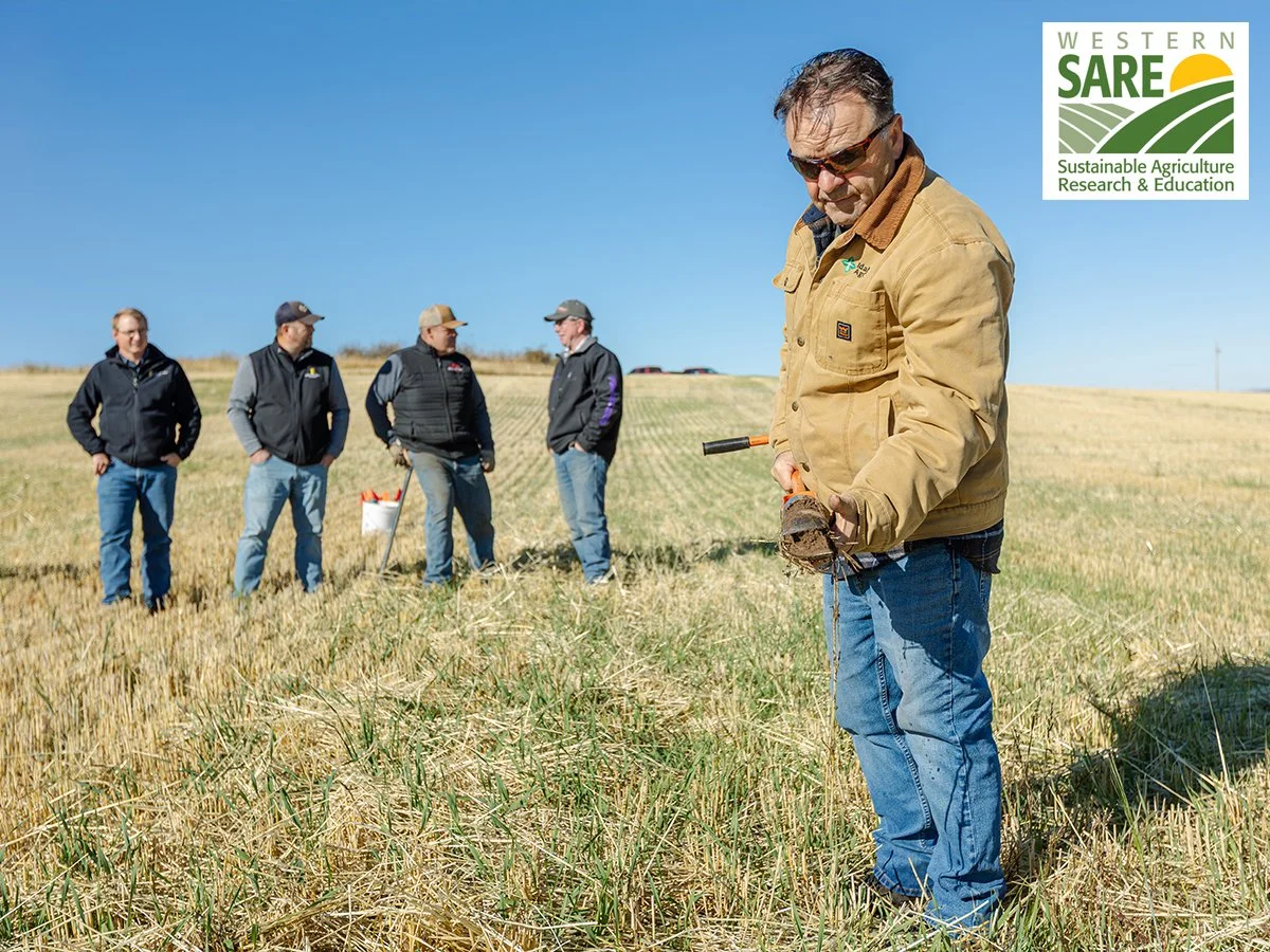 Working in Partnership to Remediate Acidic Soils