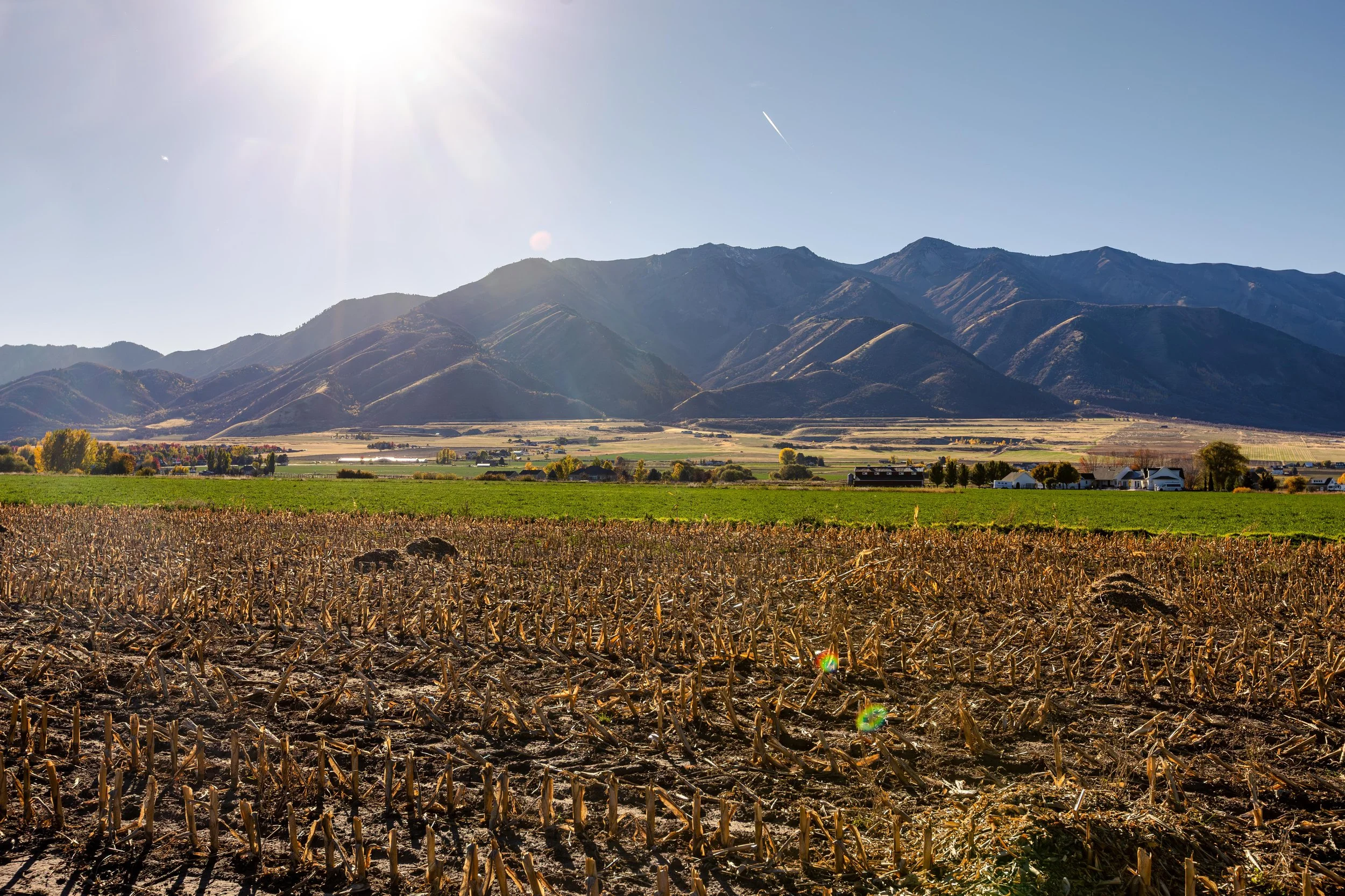 Utah State University Matt Yost Water Conservation