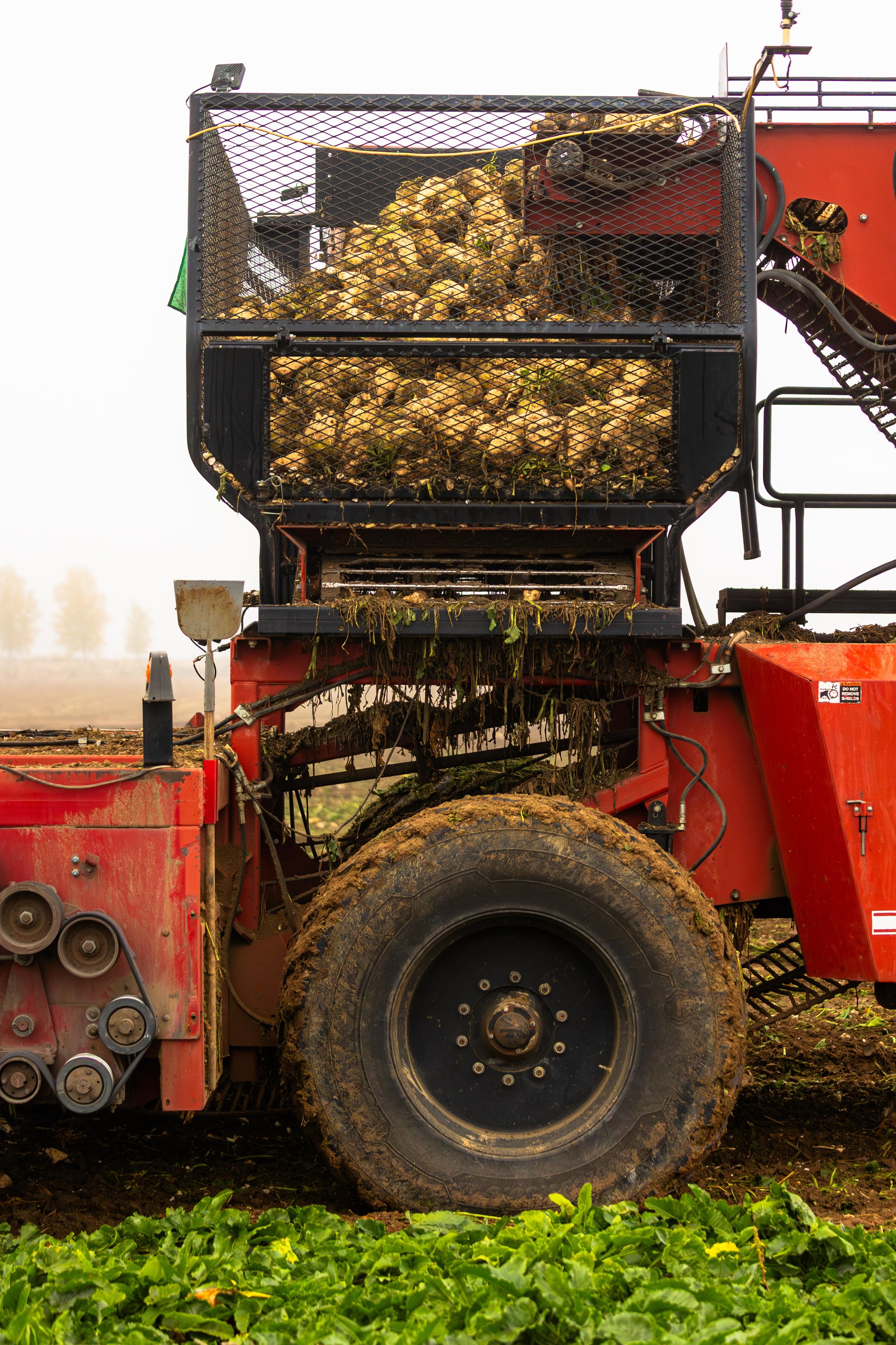 Western SARE Grants Colorado