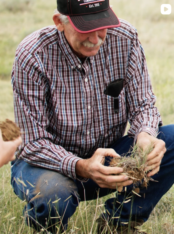 Holistic Management International | Louis Martin