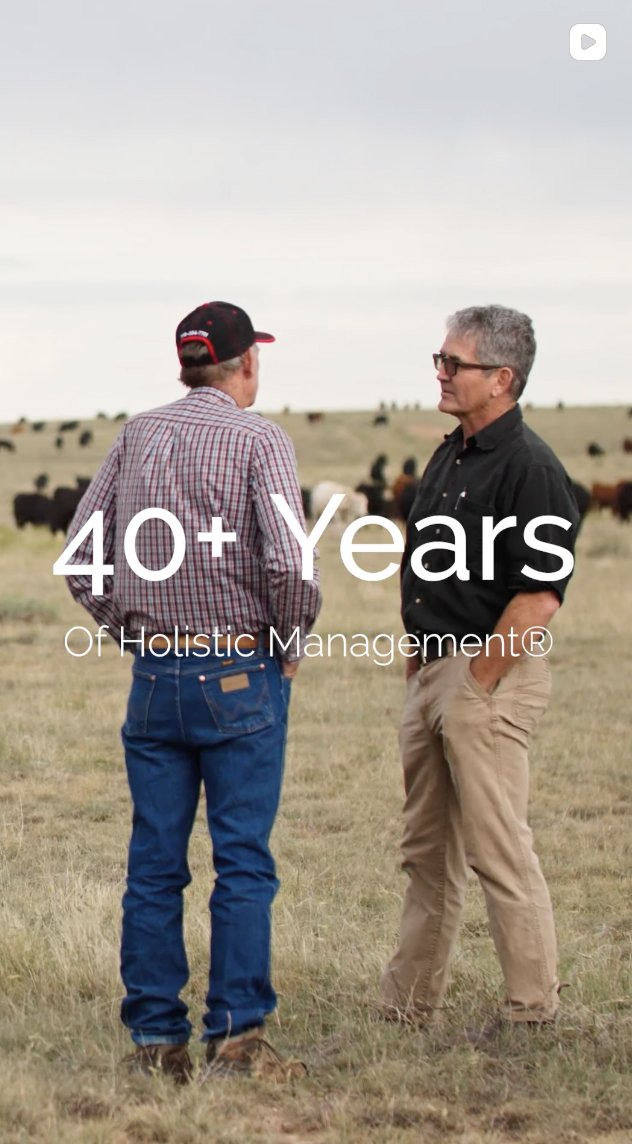 Holistic Management Facebook