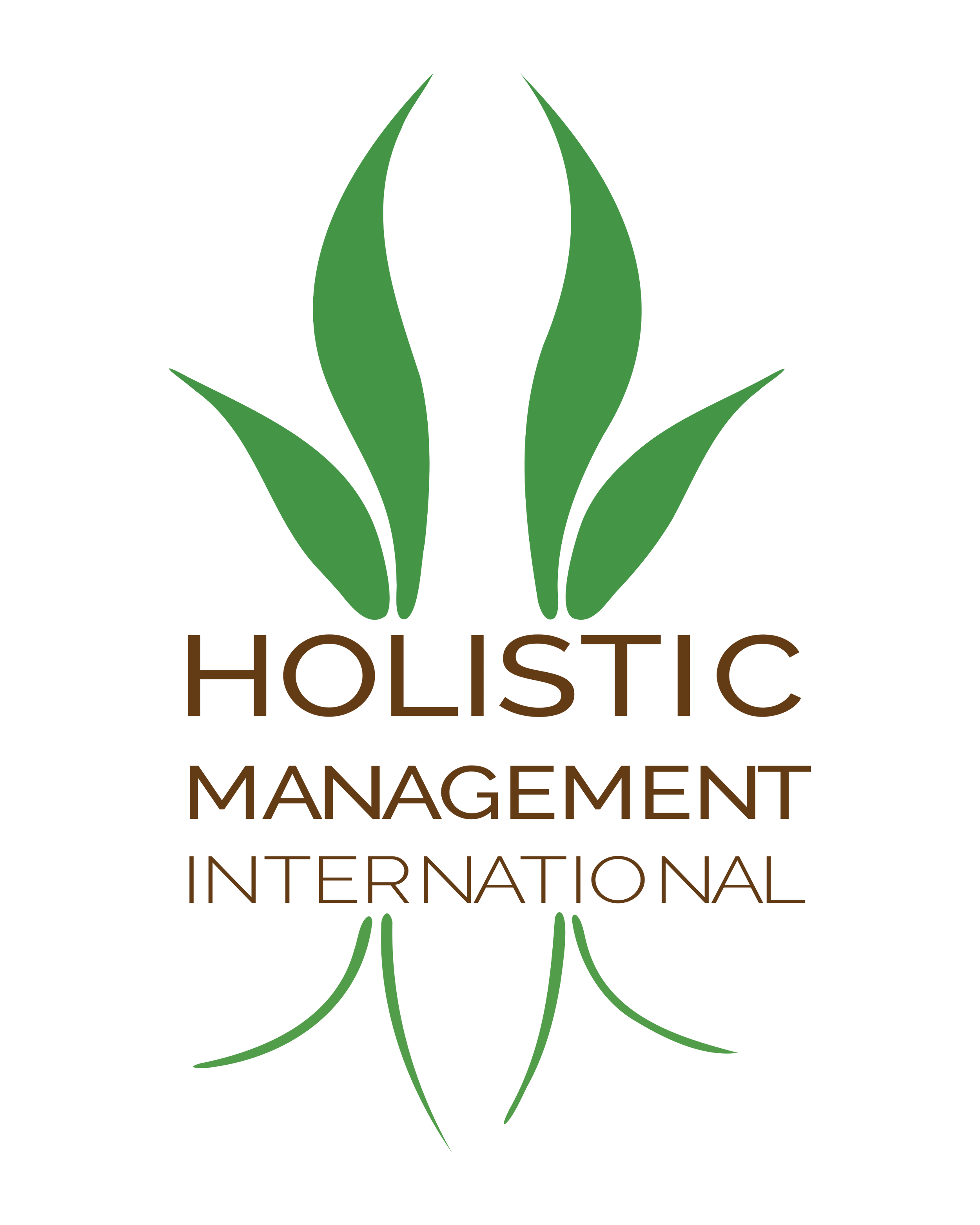 holistic management international