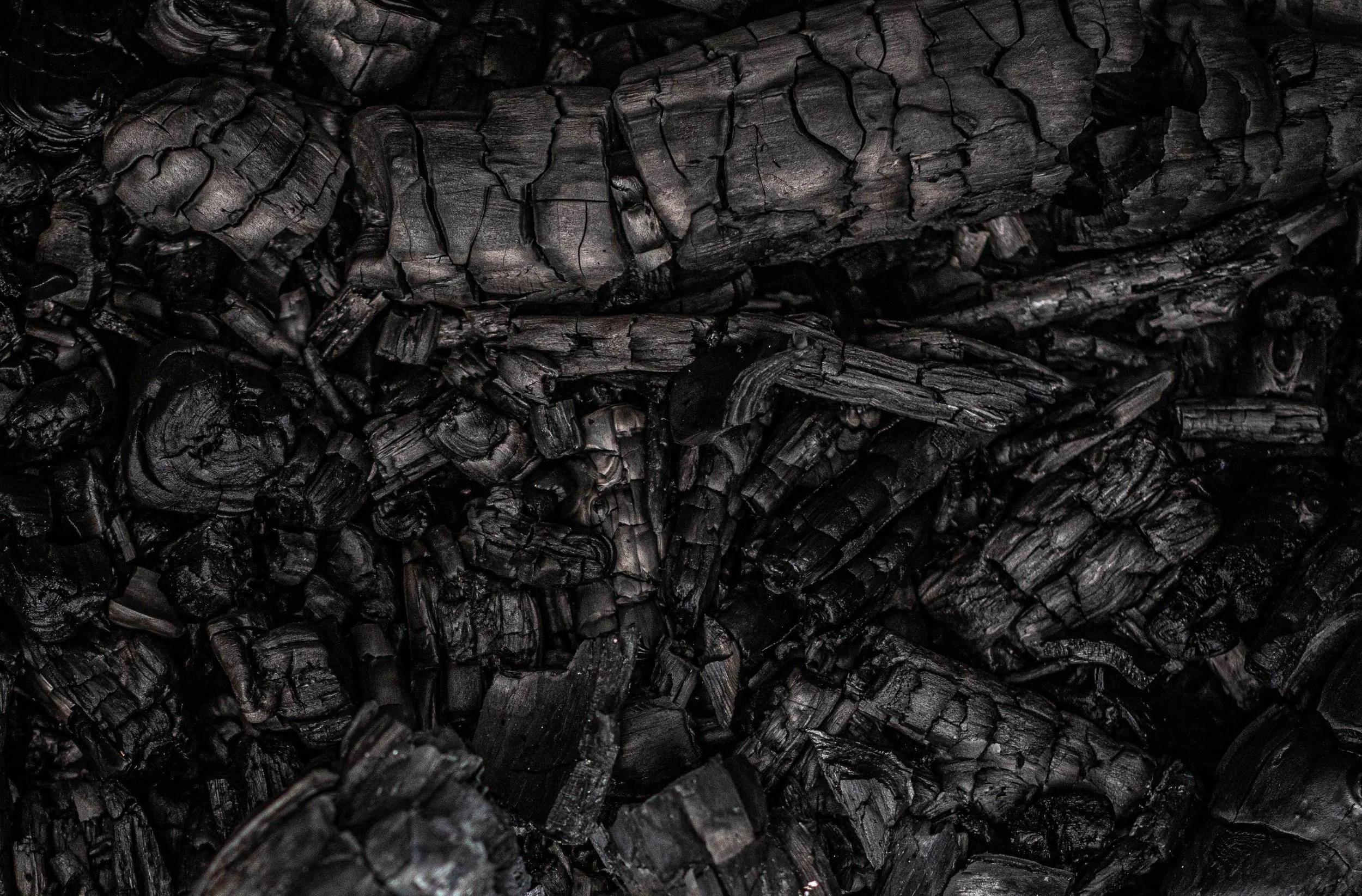 Growing with Biochar Training
