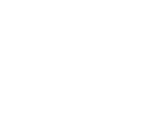 white brain outline icon