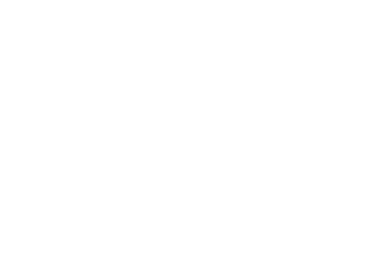 white moon and stars icon