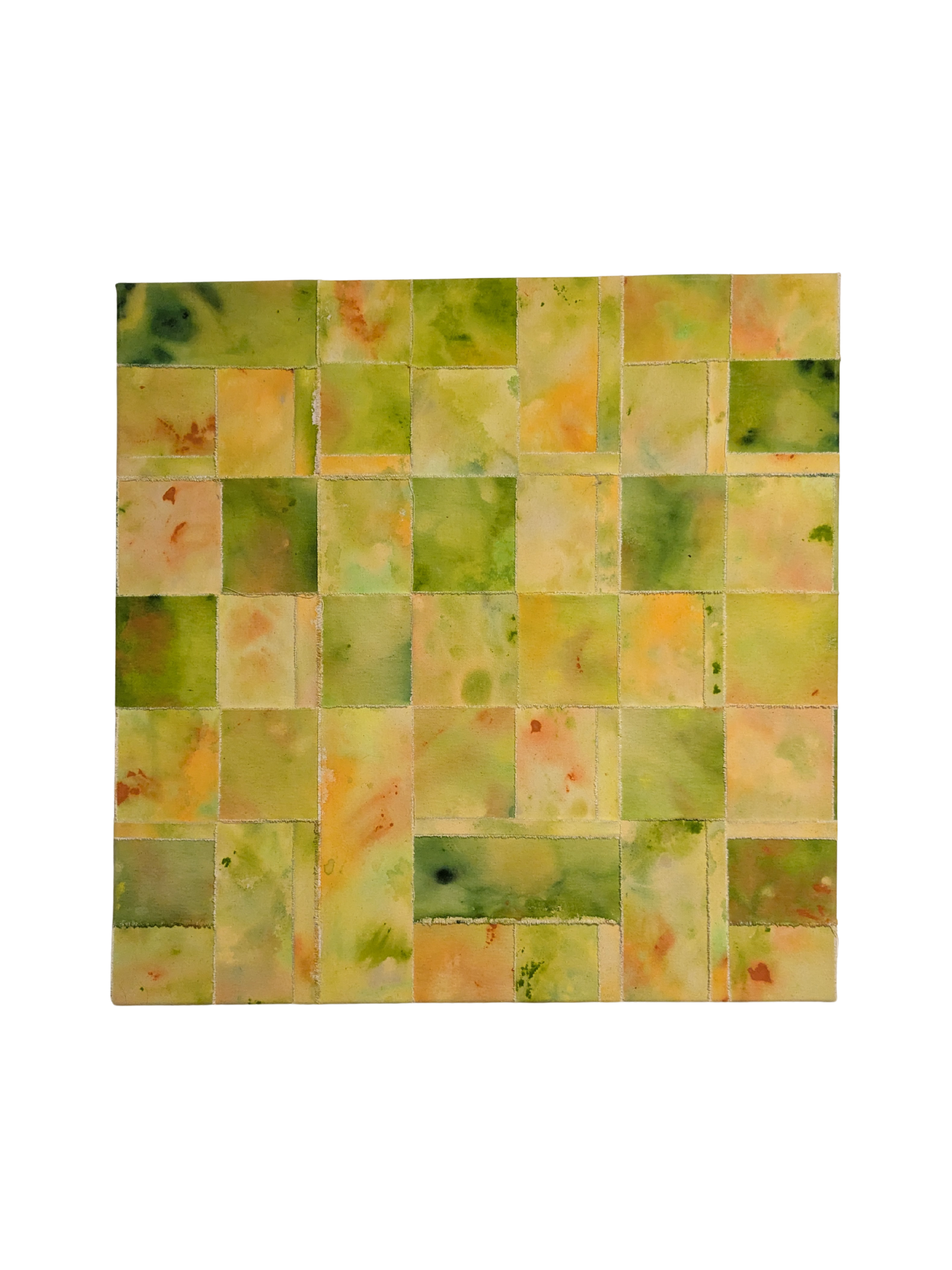 Flower Spider (Tharrhalea multopunctata) 2026, acrylic on canvas 76 x 76 cm