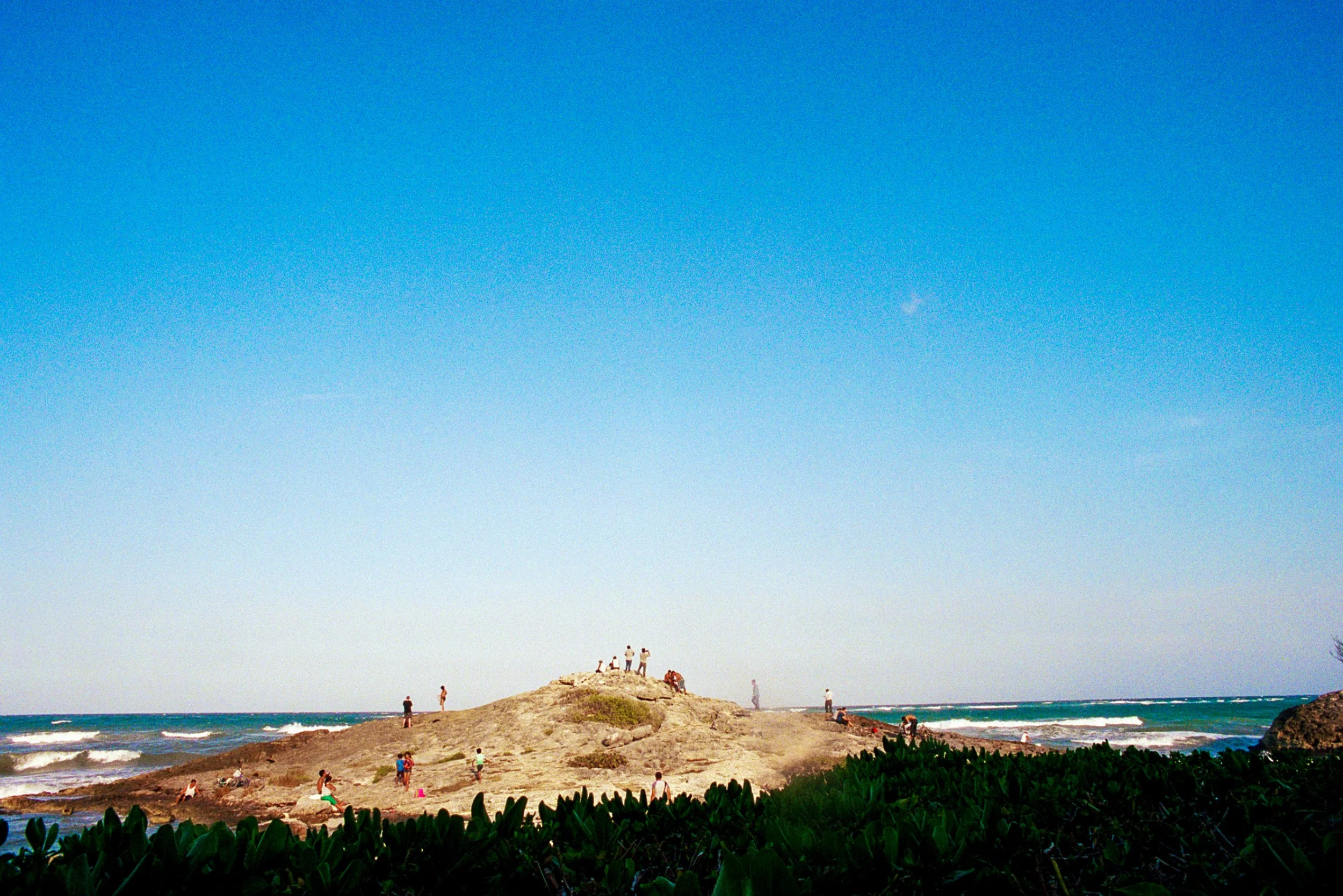 PALM INFRARED-18.JPG