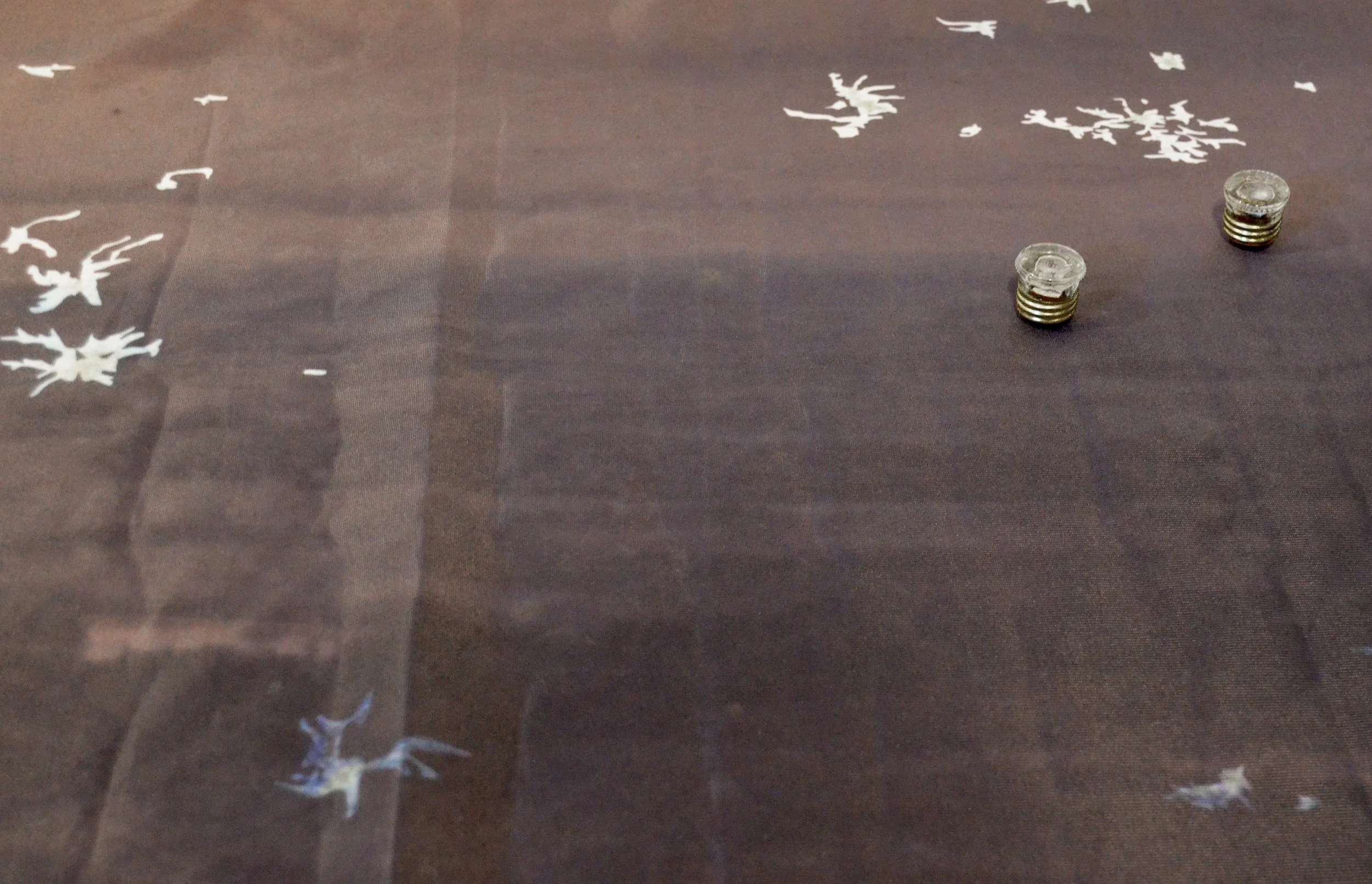 Squier, Everything Went Shimmery (Niger Delta from helicopter, Pt. Harcourt to Oloibiri)_05.JPG